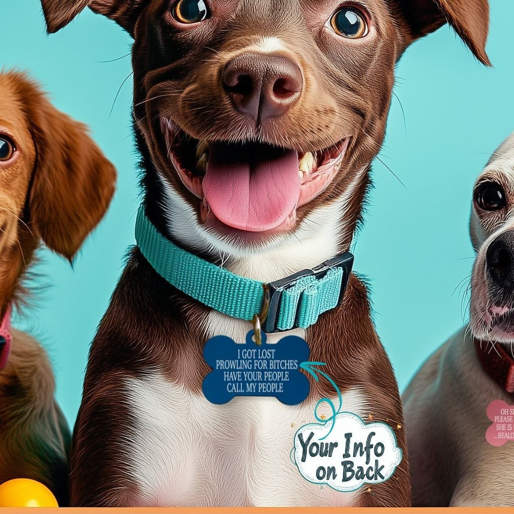 Funny dog name tags, custom pet collar tags, and engraved dog tags made to order with personalized and inappropriate sayings