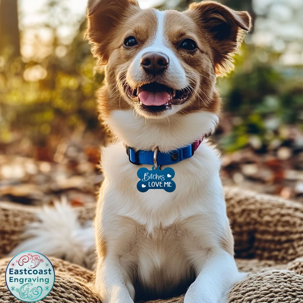 Fun dog tags with personalized engraving for unique pet identification.