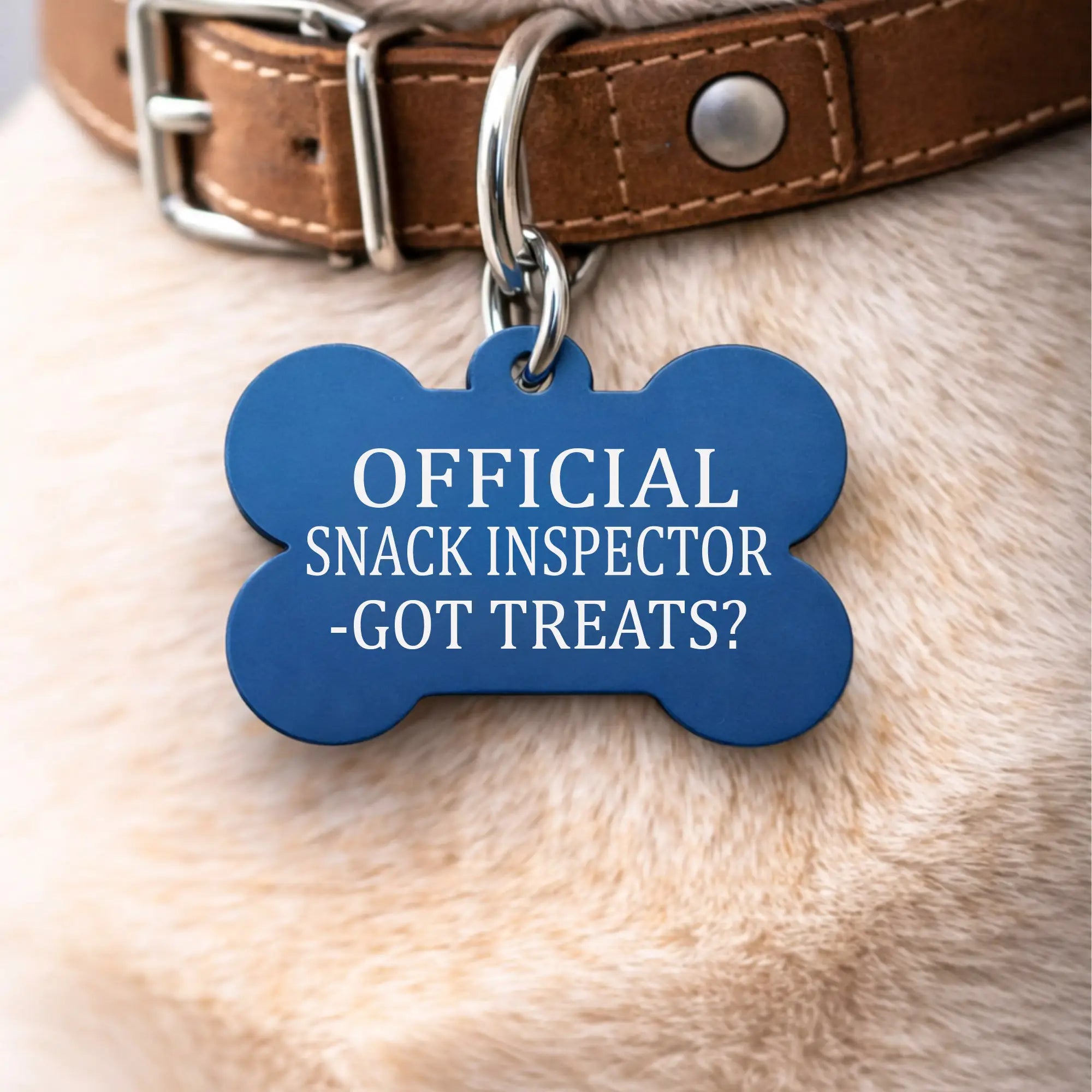 Blue bone shaped pet tag with funny saying official snack inspector got treats