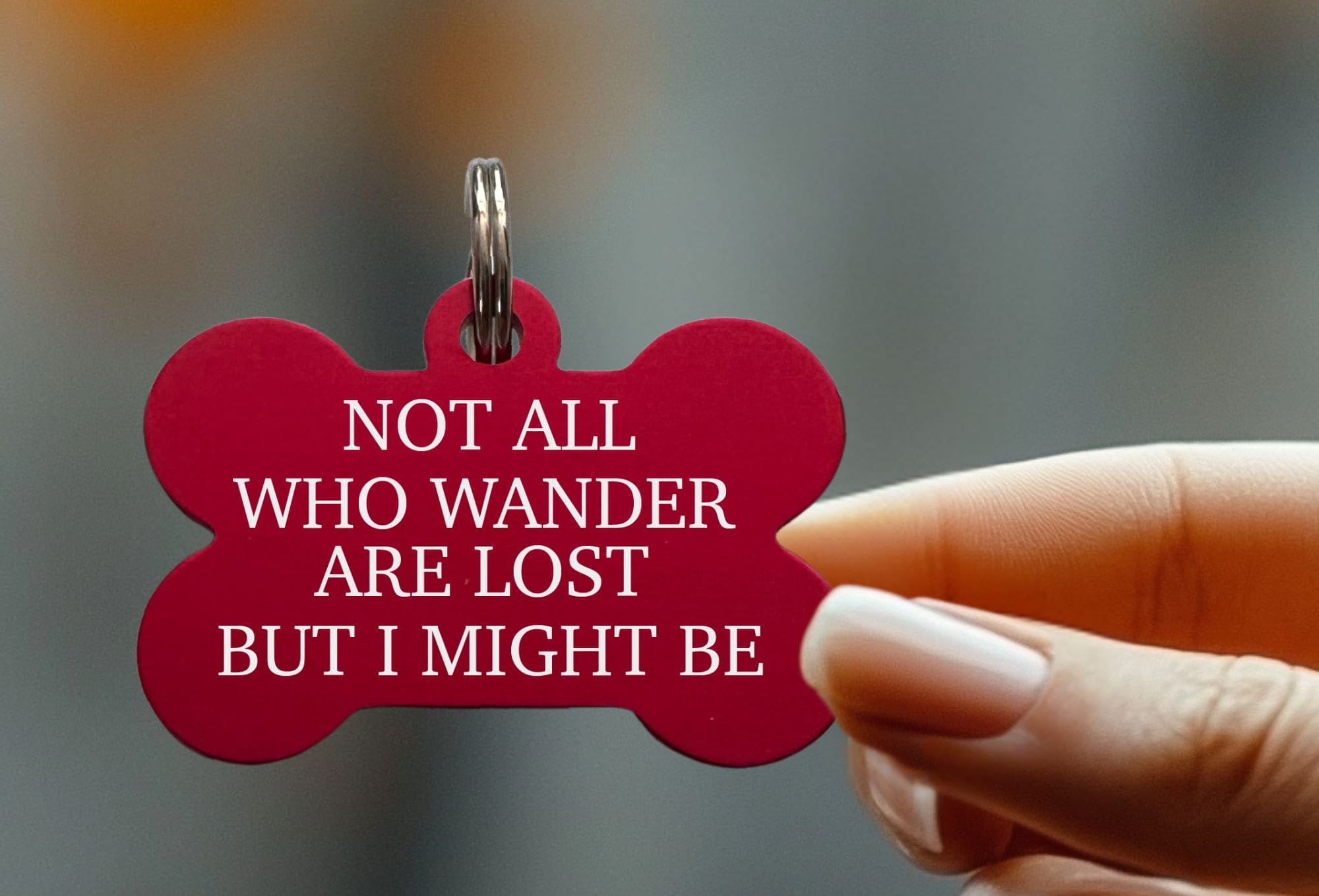 Lightweight pet ID tags for active pets