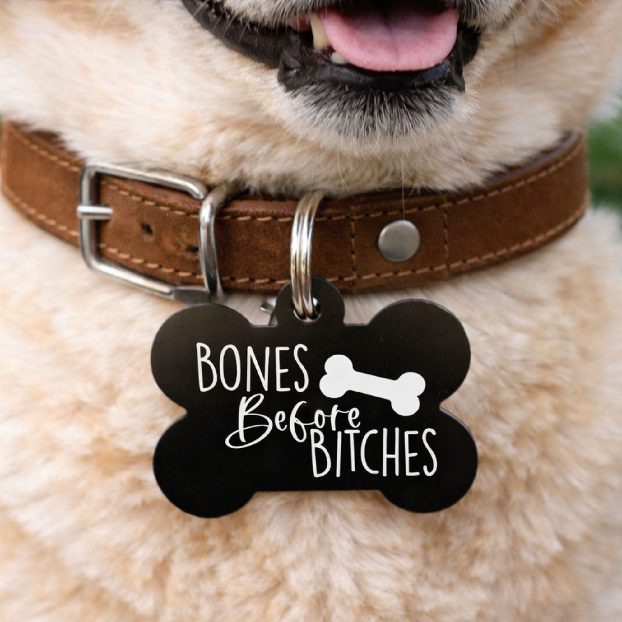 Funny dog ID tag reading “Bones Before Bitches” on a dog collar