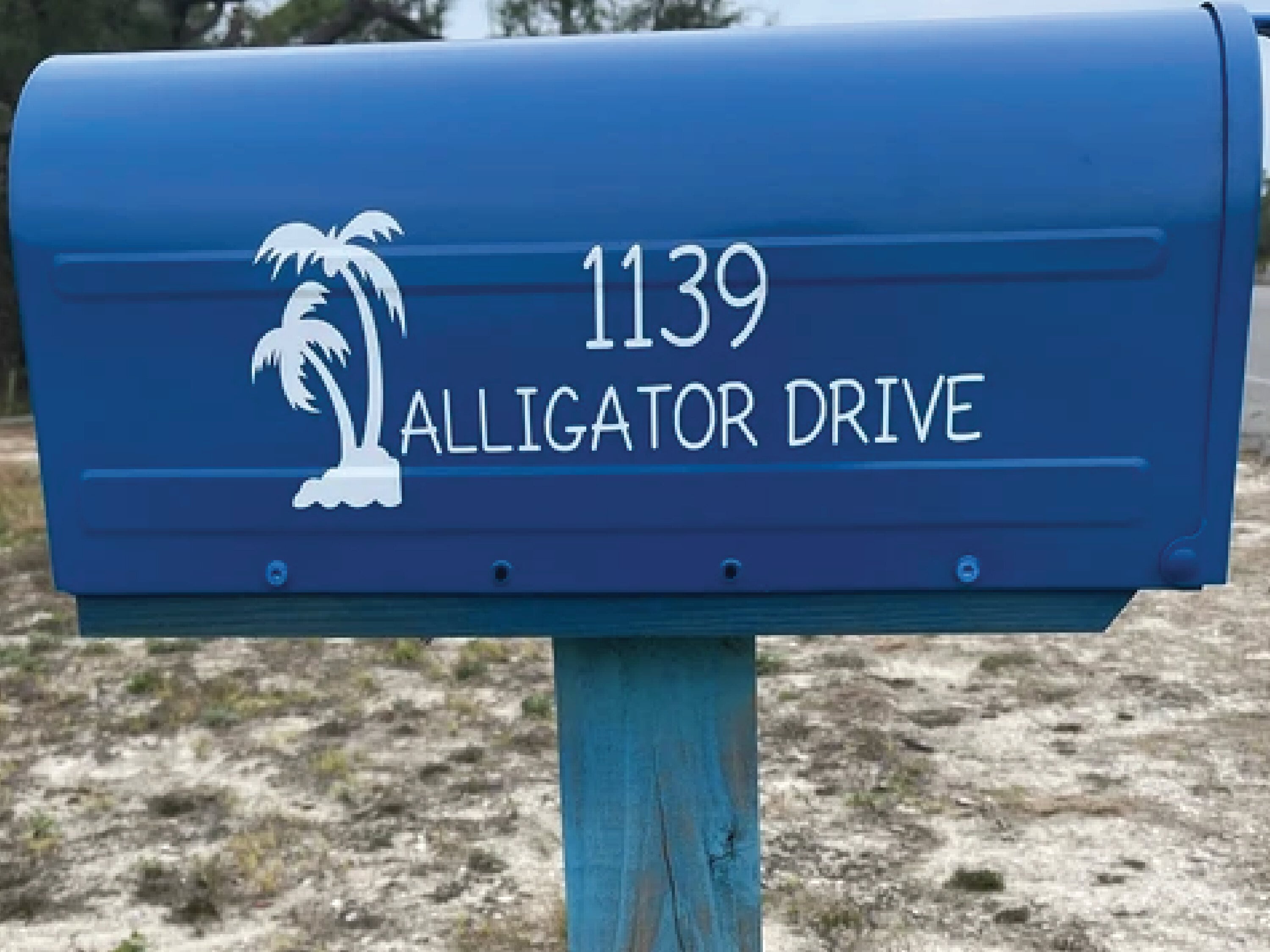 Blue mailbox with palm tree decal and custom street name.