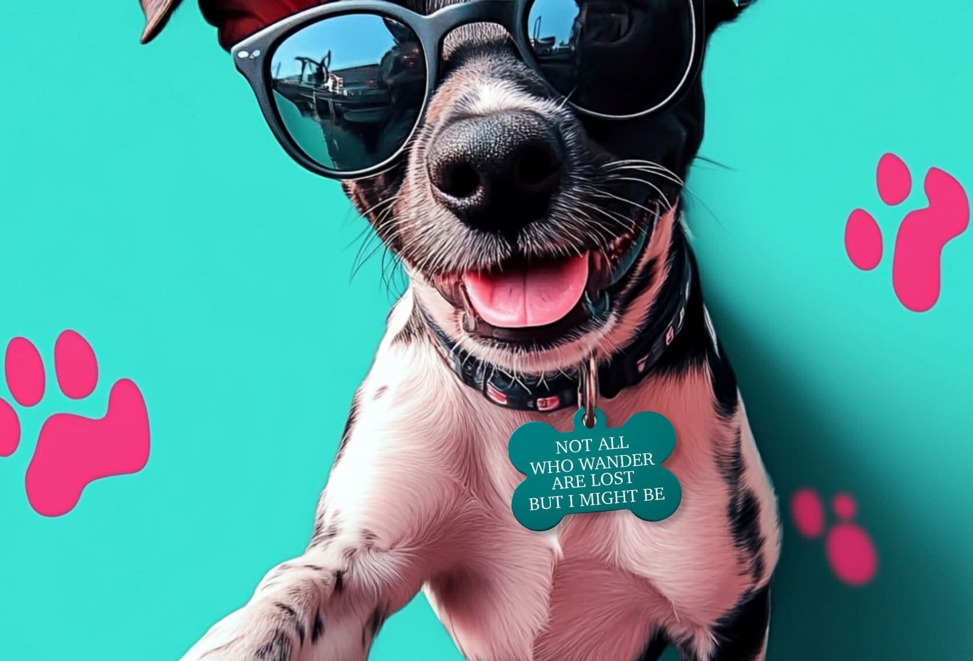 Custom pet ID tag – 'Not All Who Wander Are Lost' design in teal