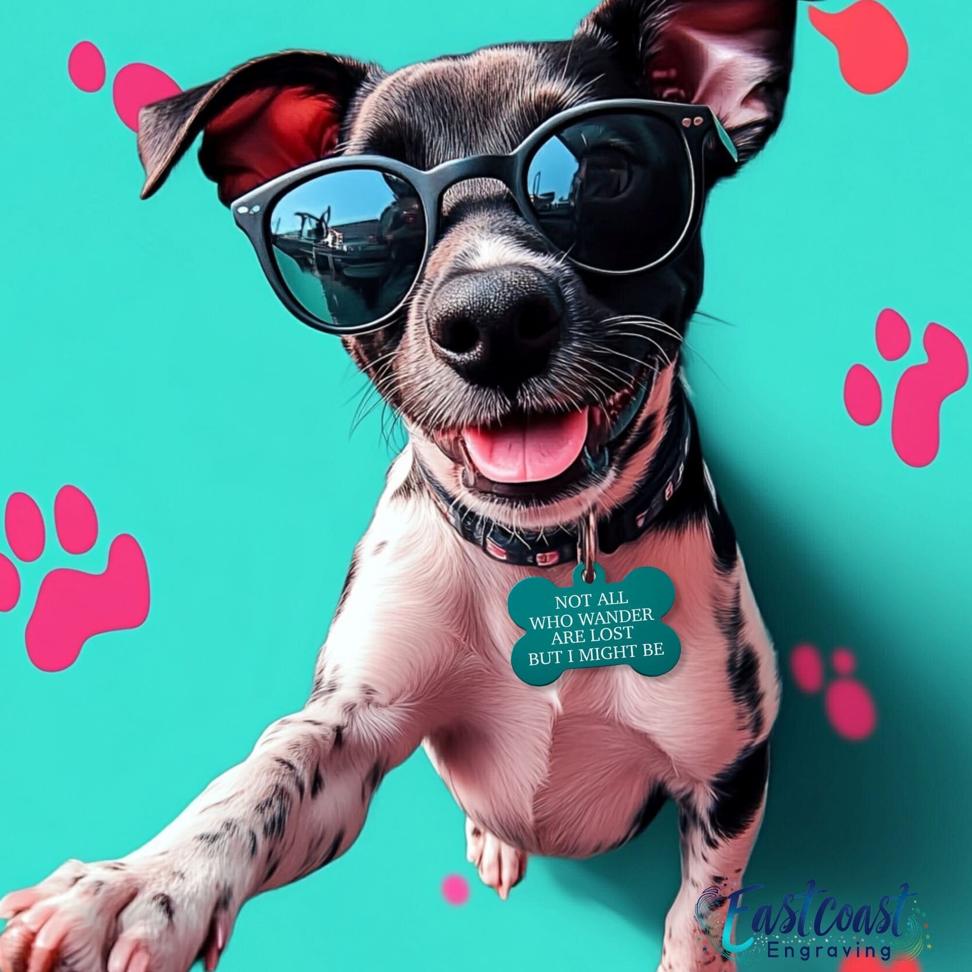 Custom pet ID tag – 'Not All Who Wander Are Lost' design in teal