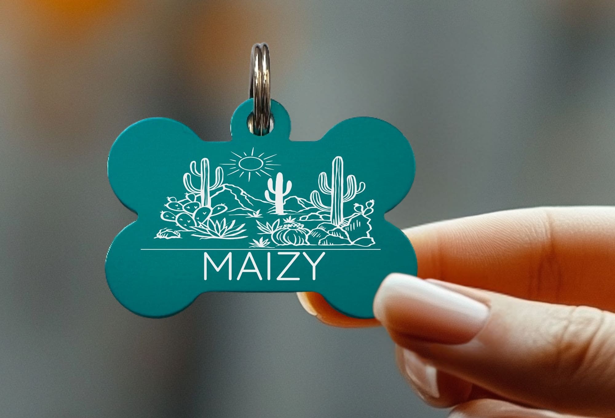Custom dog collar tags with funny messages and safety features