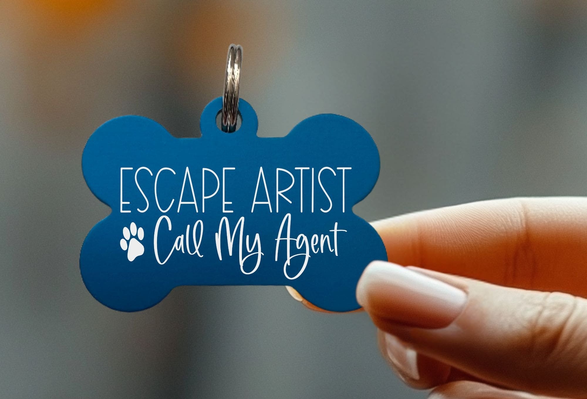 Custom laser engraved pet ID tags for personalized safety
