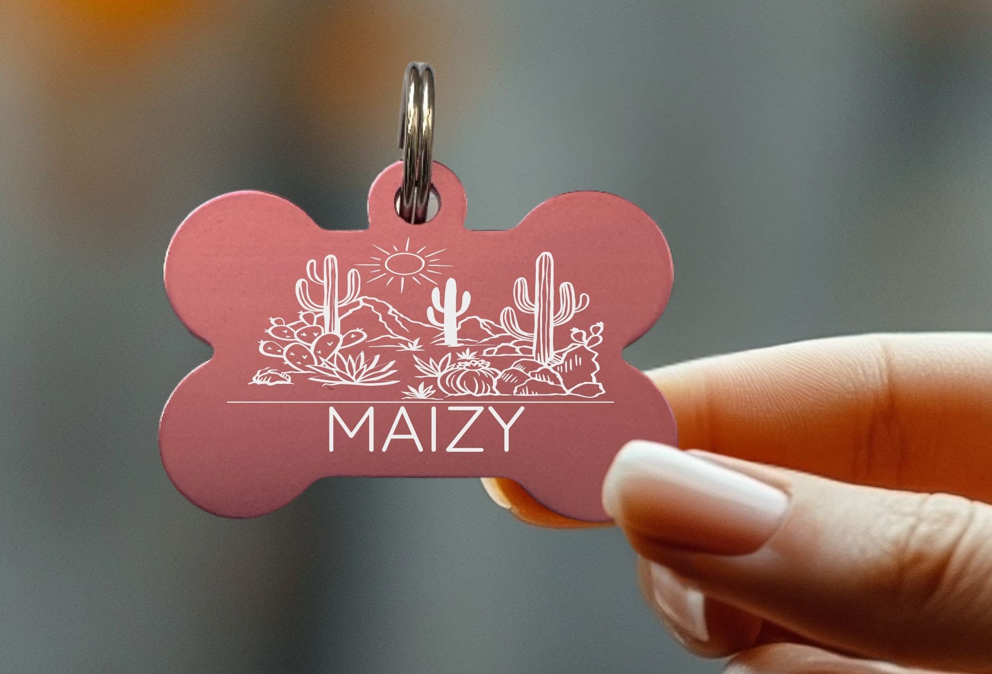 Engraved collar name tags for dogs with unique options