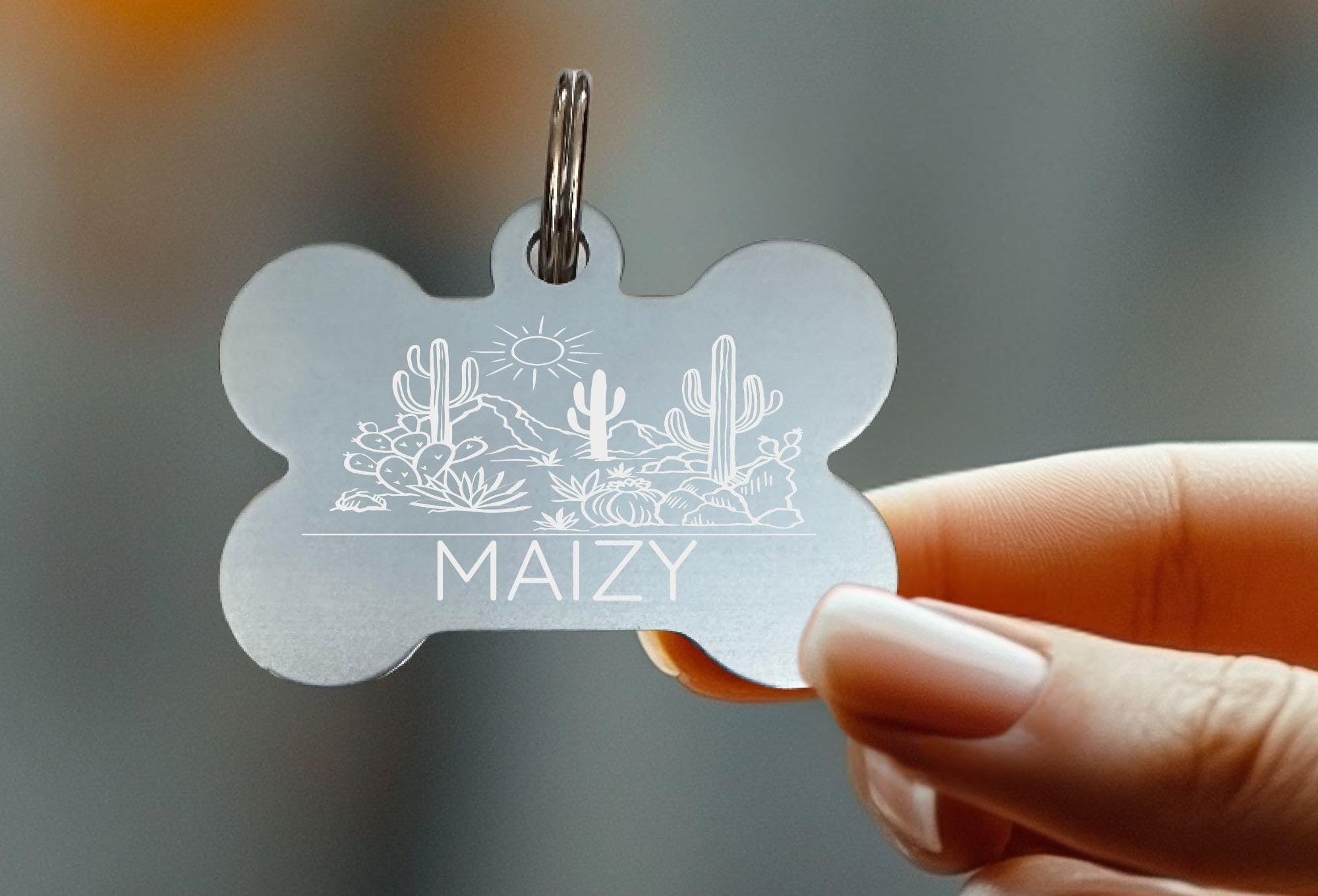 Lightweight custom pet collar tags for active lifestyles
