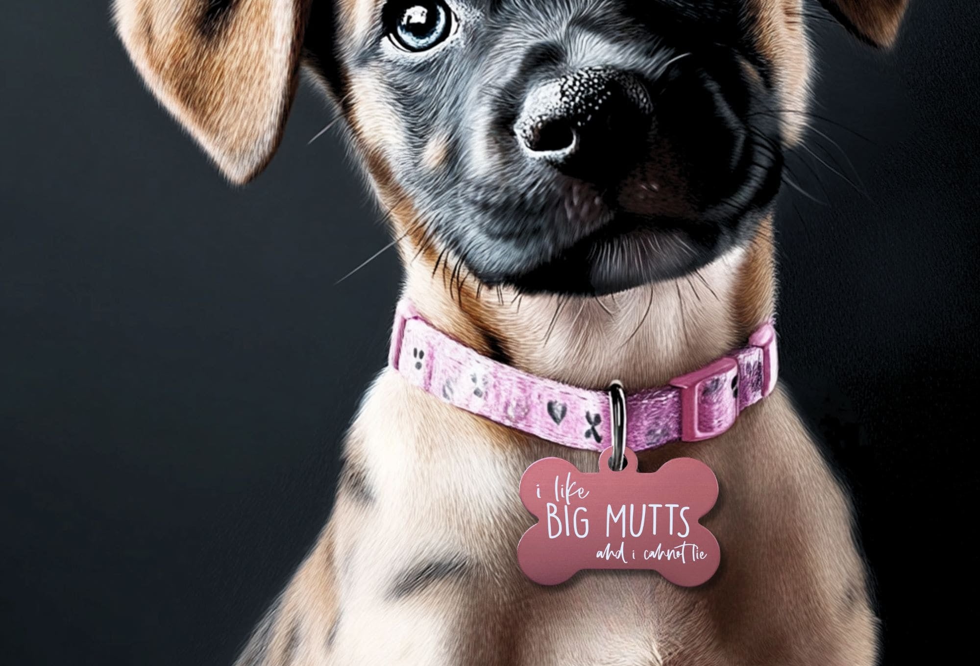 custom-engraved-pet-id-tag