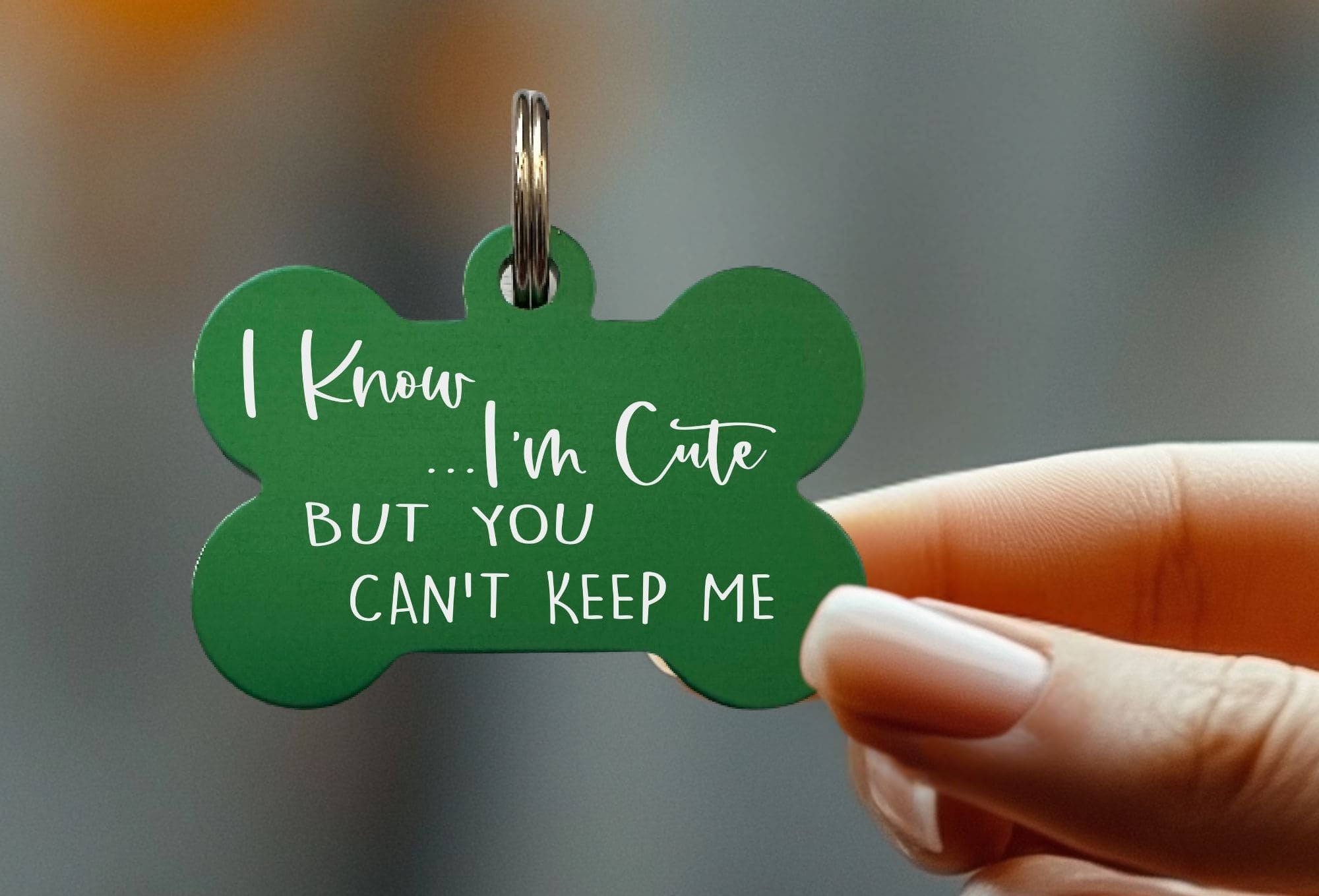 Custom pet ID tags for dogs with unique engraving