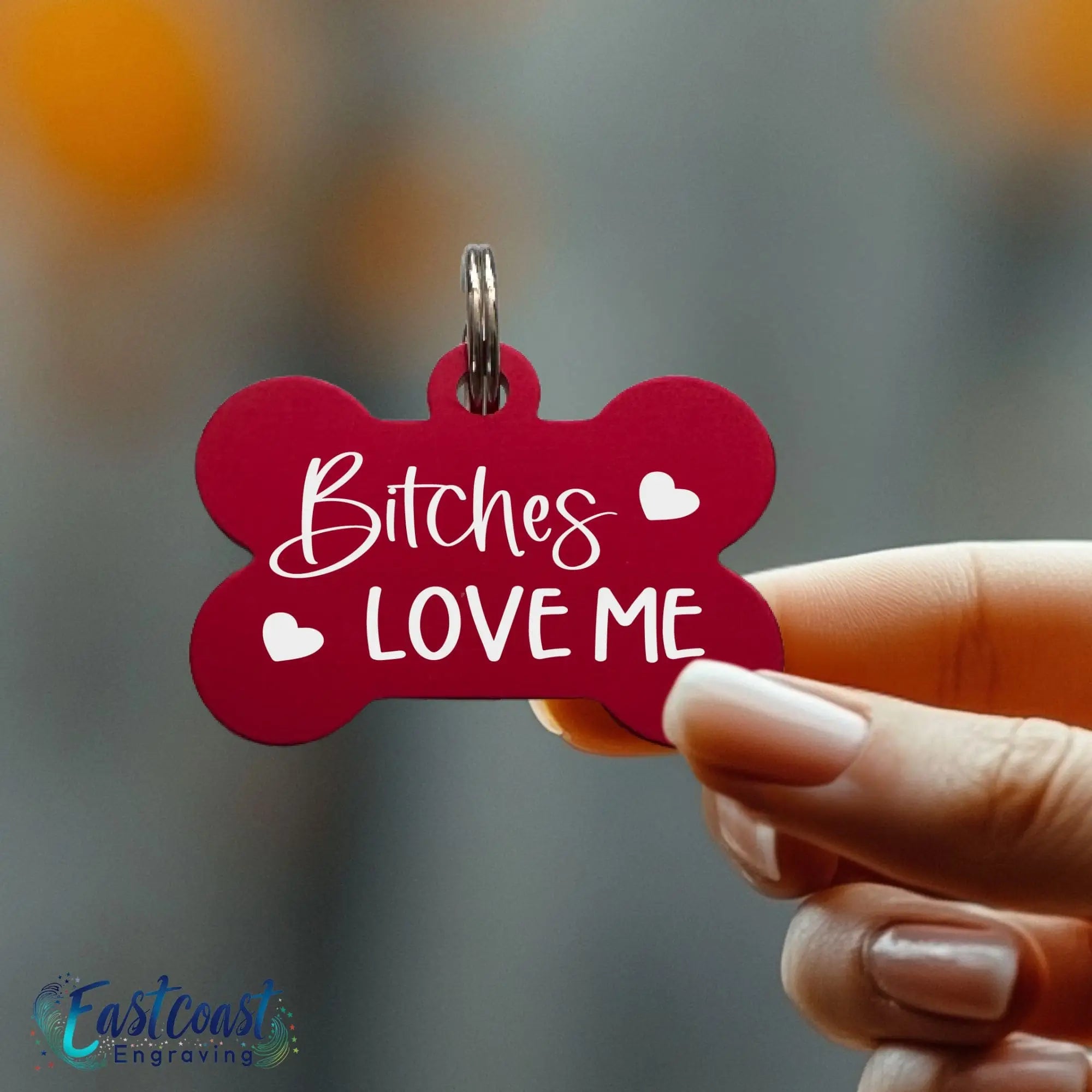 Funny dog ID tag with “Bitches Love Me” text shown close-up in hand