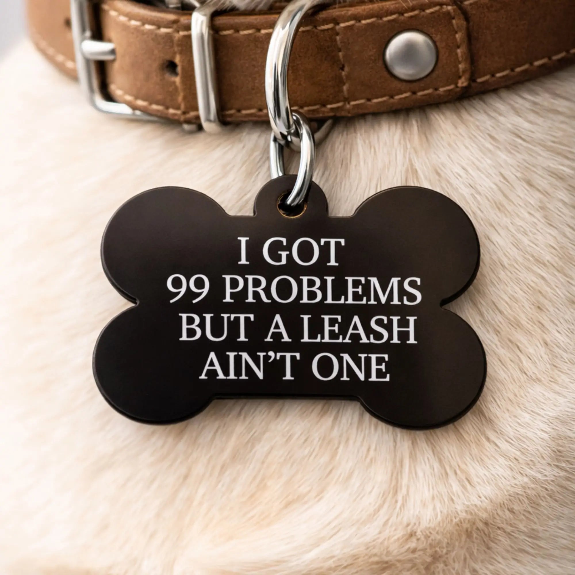Funny dog ID tag that reads “I got 99 problems but a leash ain’t one” on a teal bone-shaped pet tag