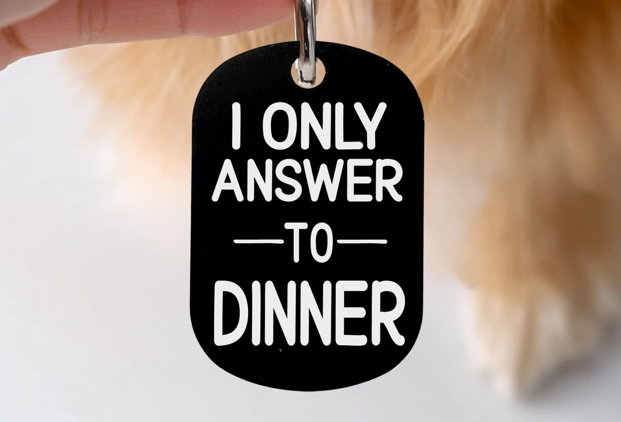 Personalized engraved cat collar tags funny ID tag black