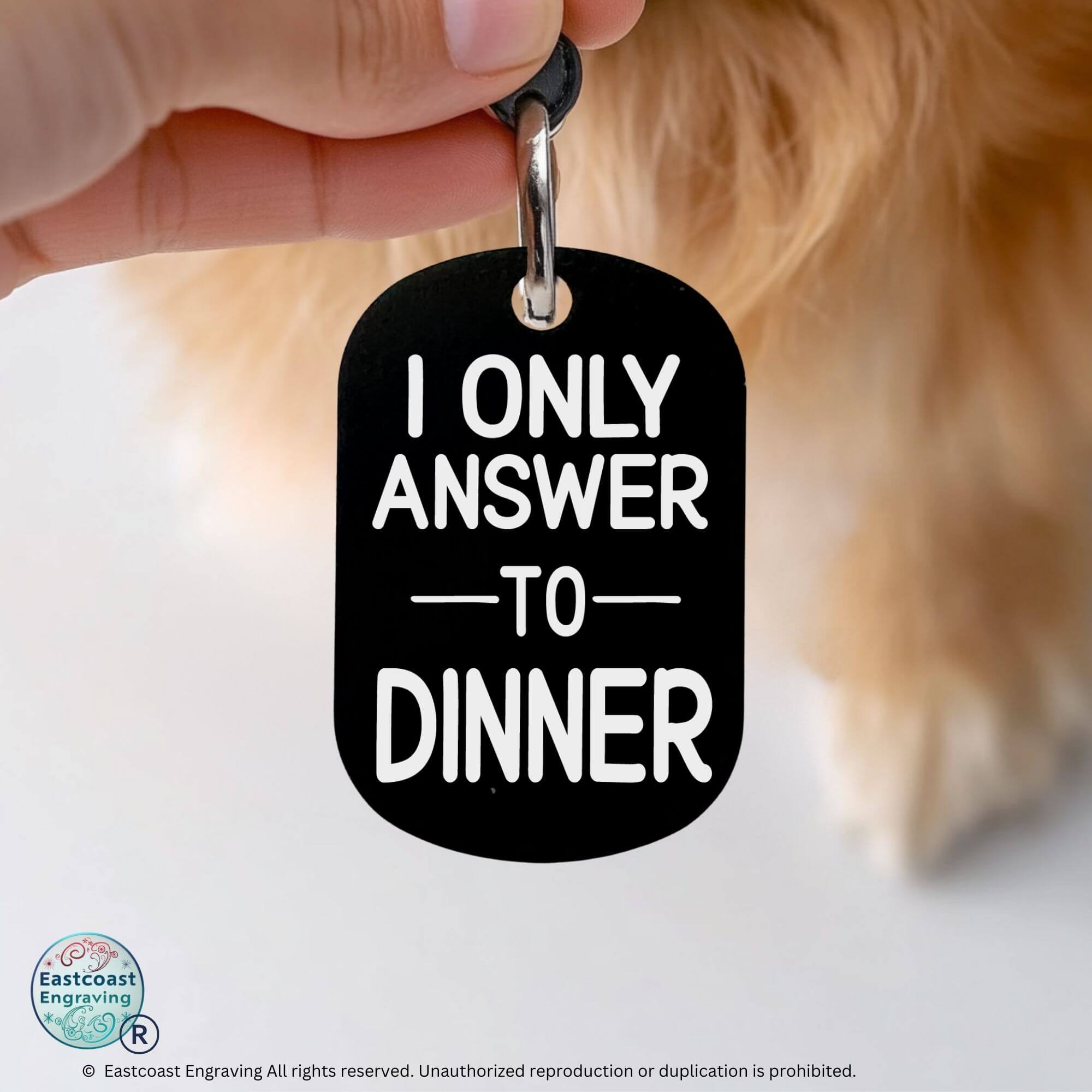 Personalized engraved cat collar tags funny ID tag black
