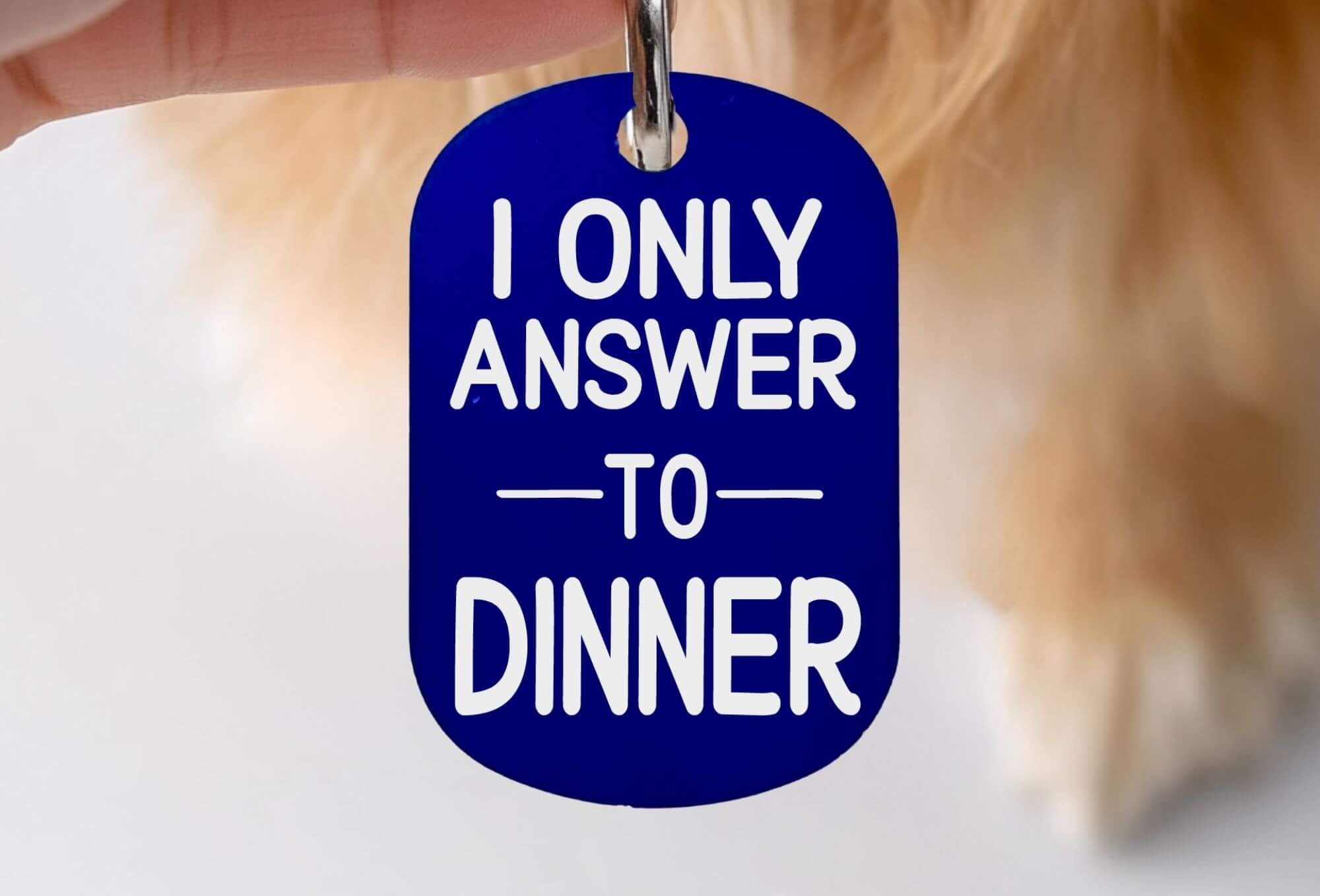 Cat collar tags personalized custom pet ID tag in blue