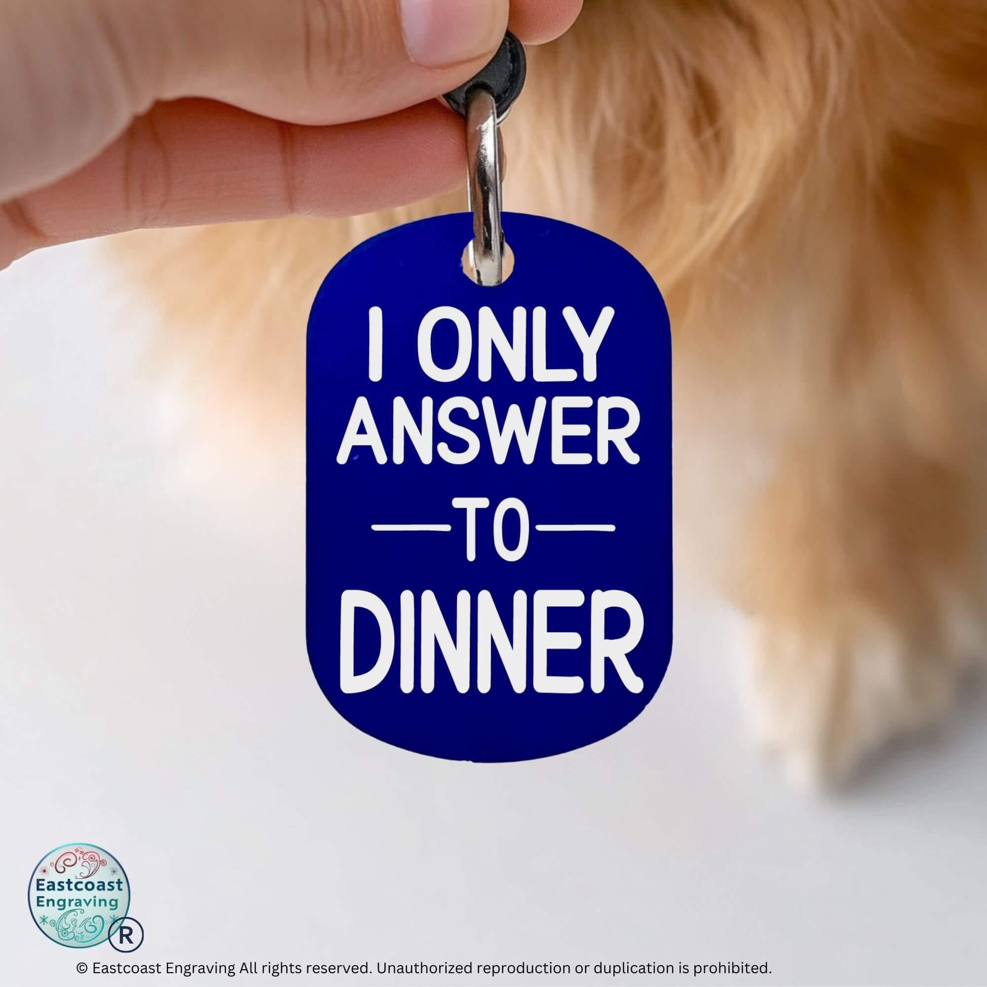 Cat collar tags personalized custom pet ID tag in blue