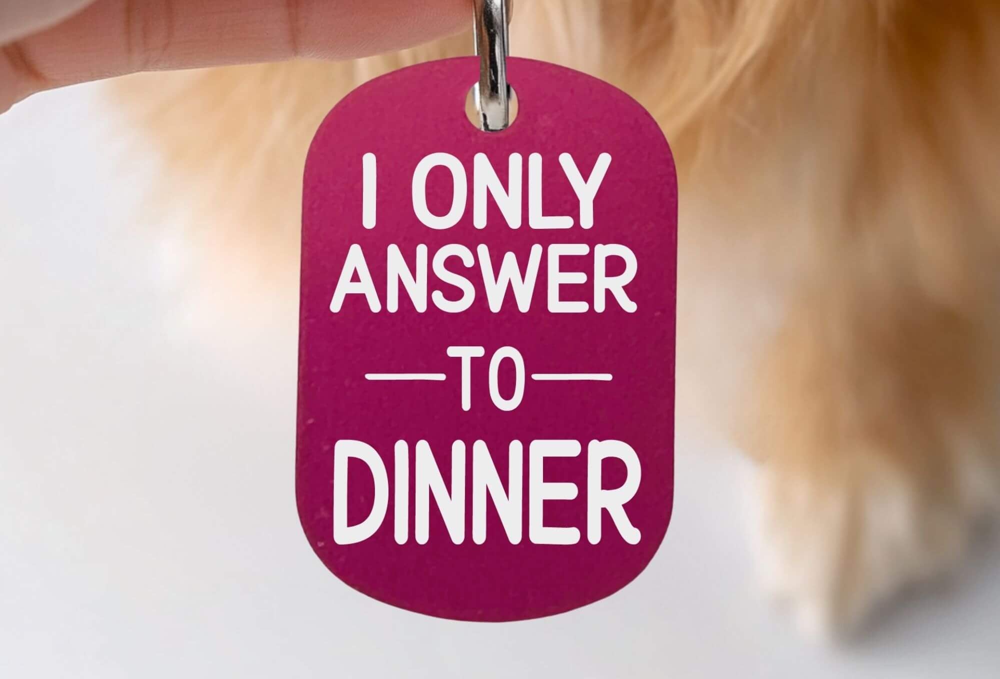 Personalized cat collar tags funny engraved pet tag hot pink