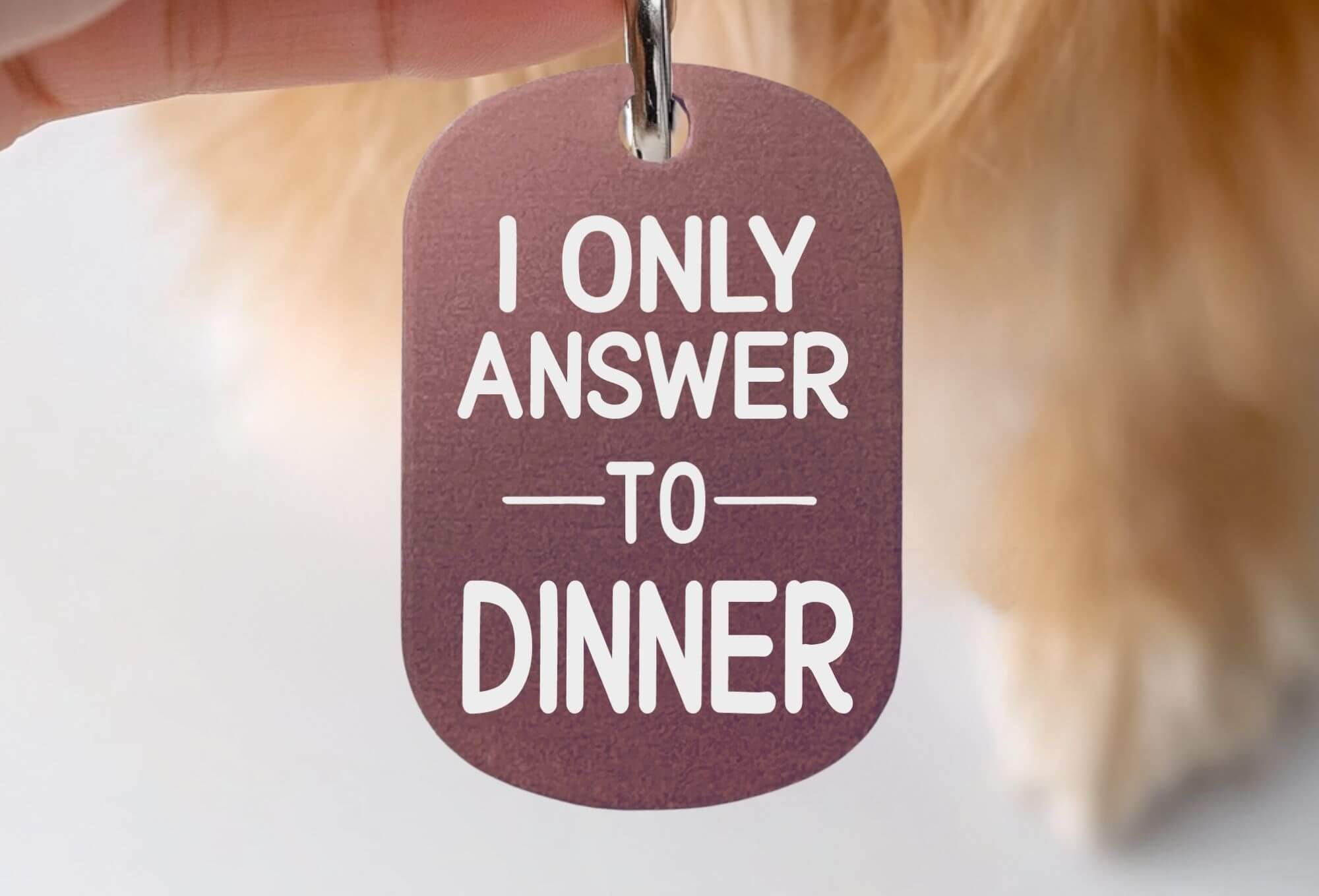 Cat collar tags personalized humorous engraved pet tag pink