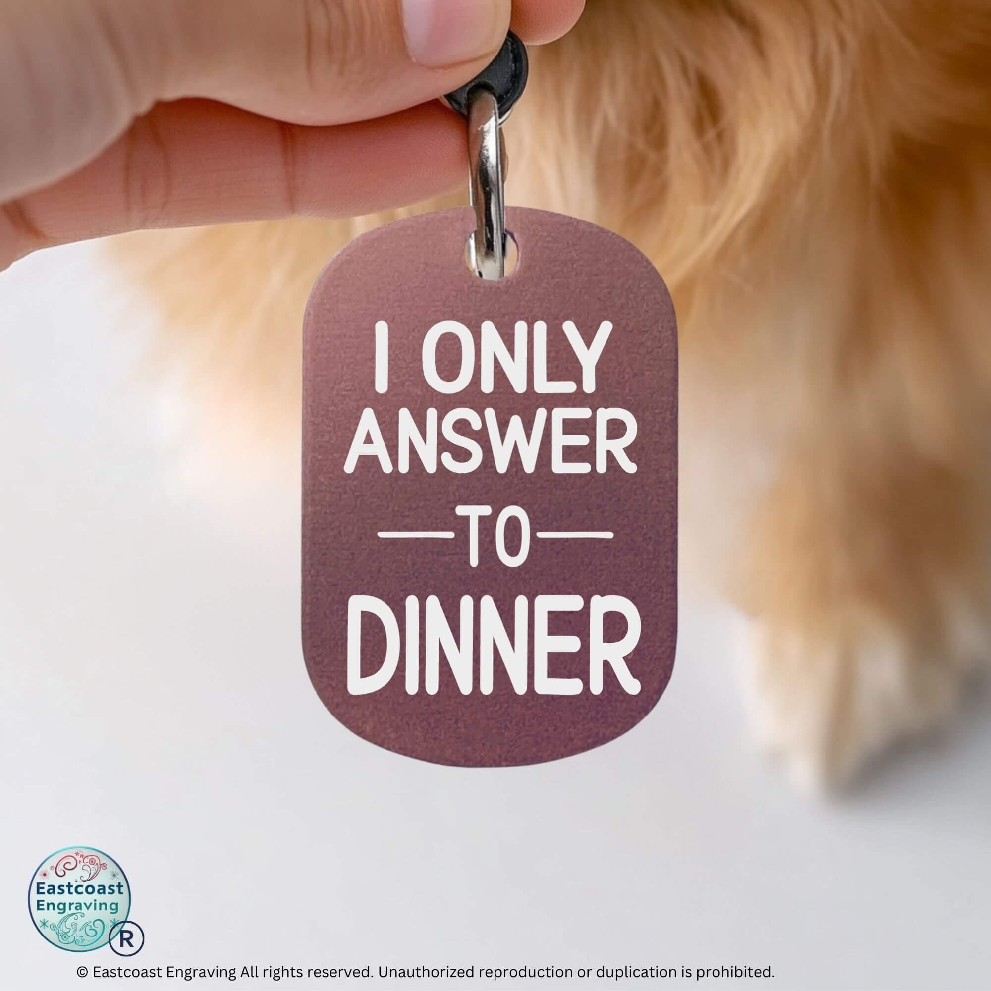 Cat collar tags personalized humorous engraved pet tag pink