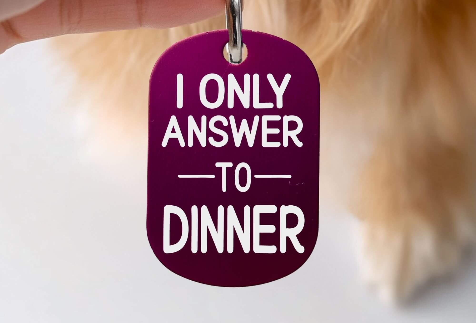 Personalized cat collar tags custom engraved pet ID purple