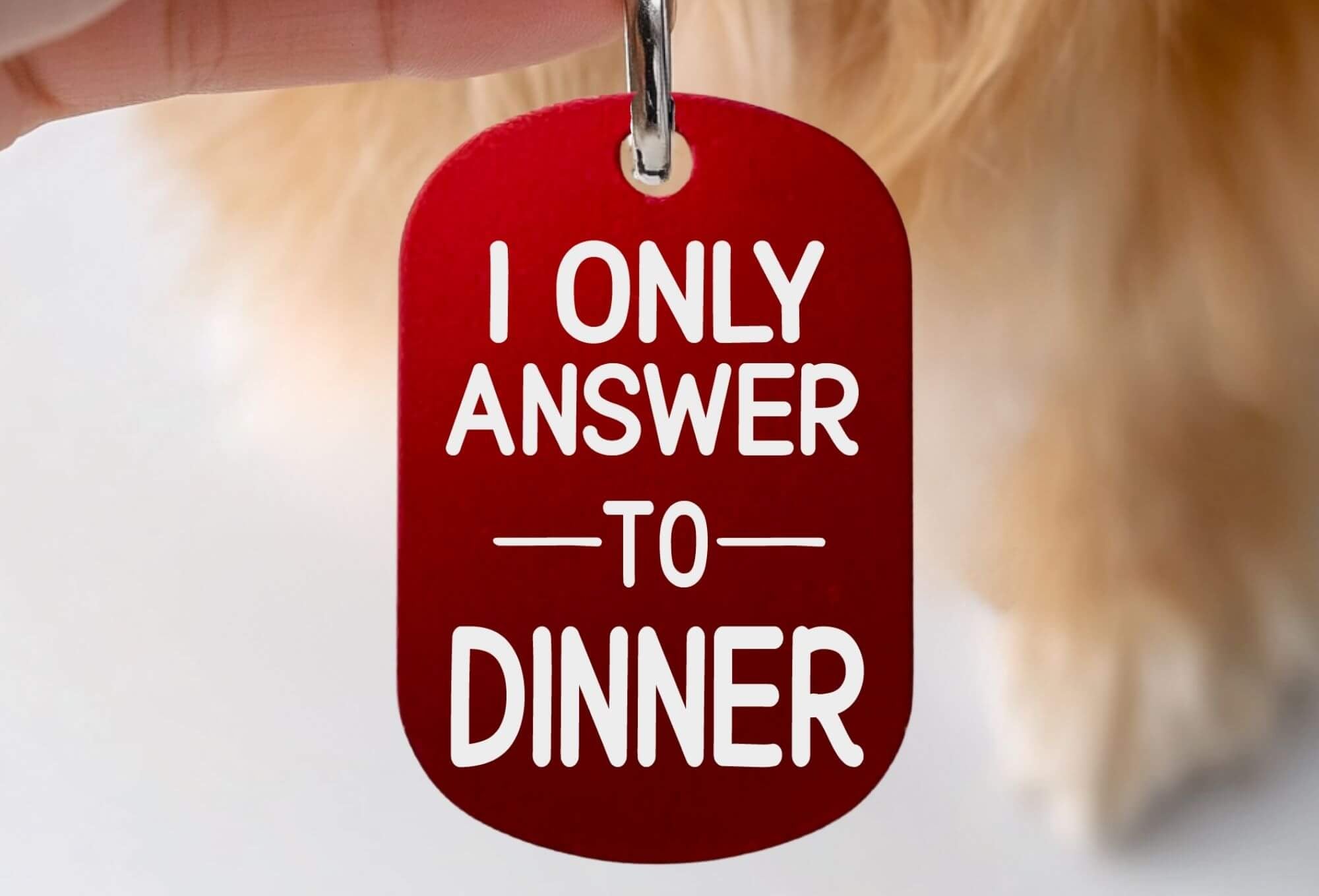 Personalized cat collar tags engraved funny cat ID red