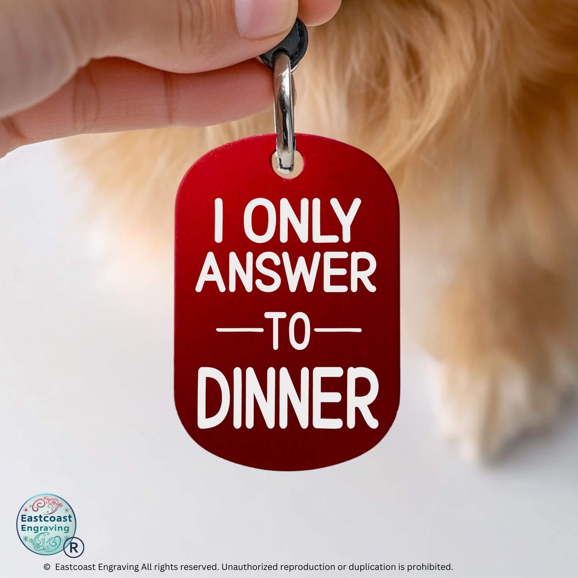 Personalized cat collar tags engraved funny cat ID red