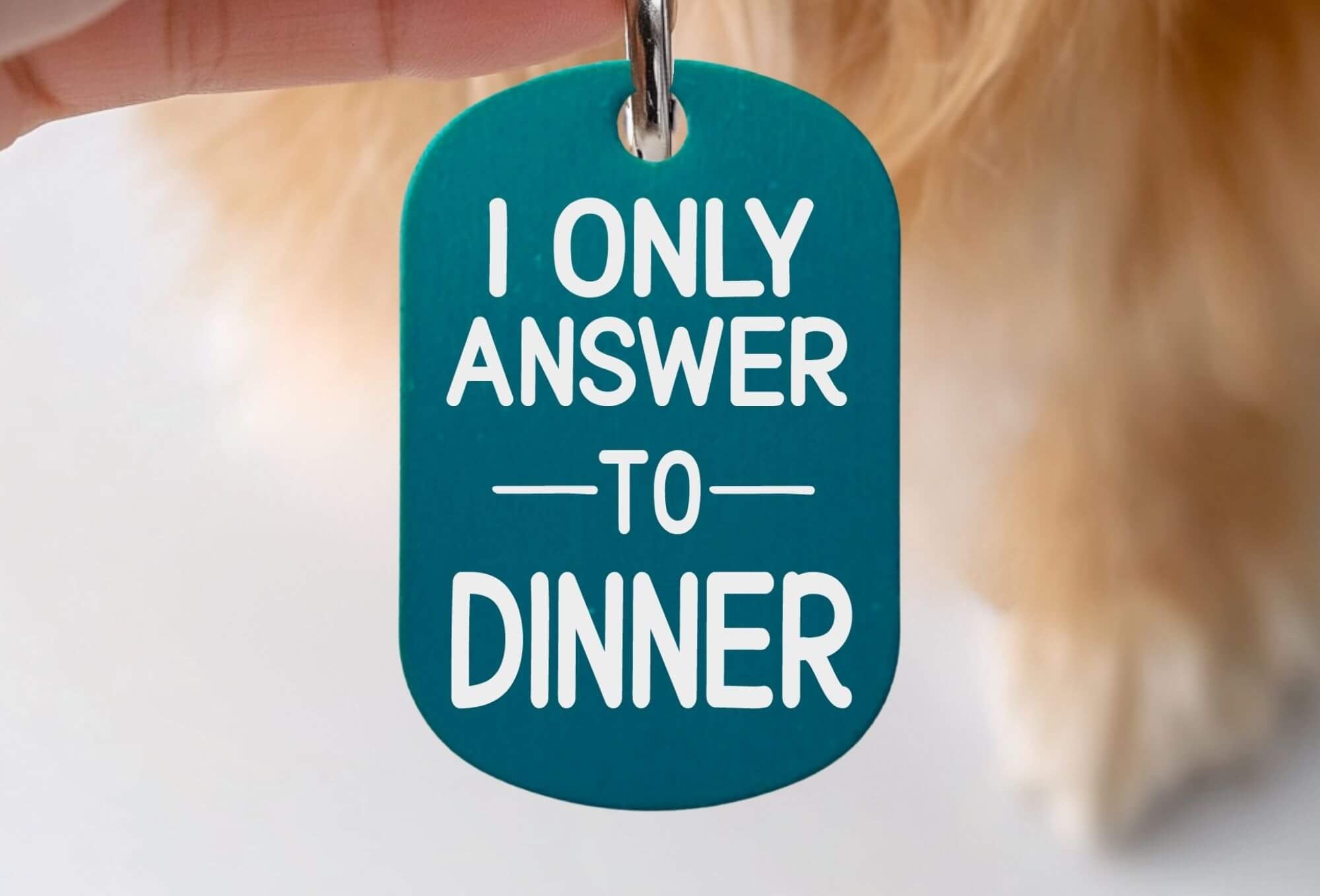 Cat collar tags personalized custom engraved teal pet ID