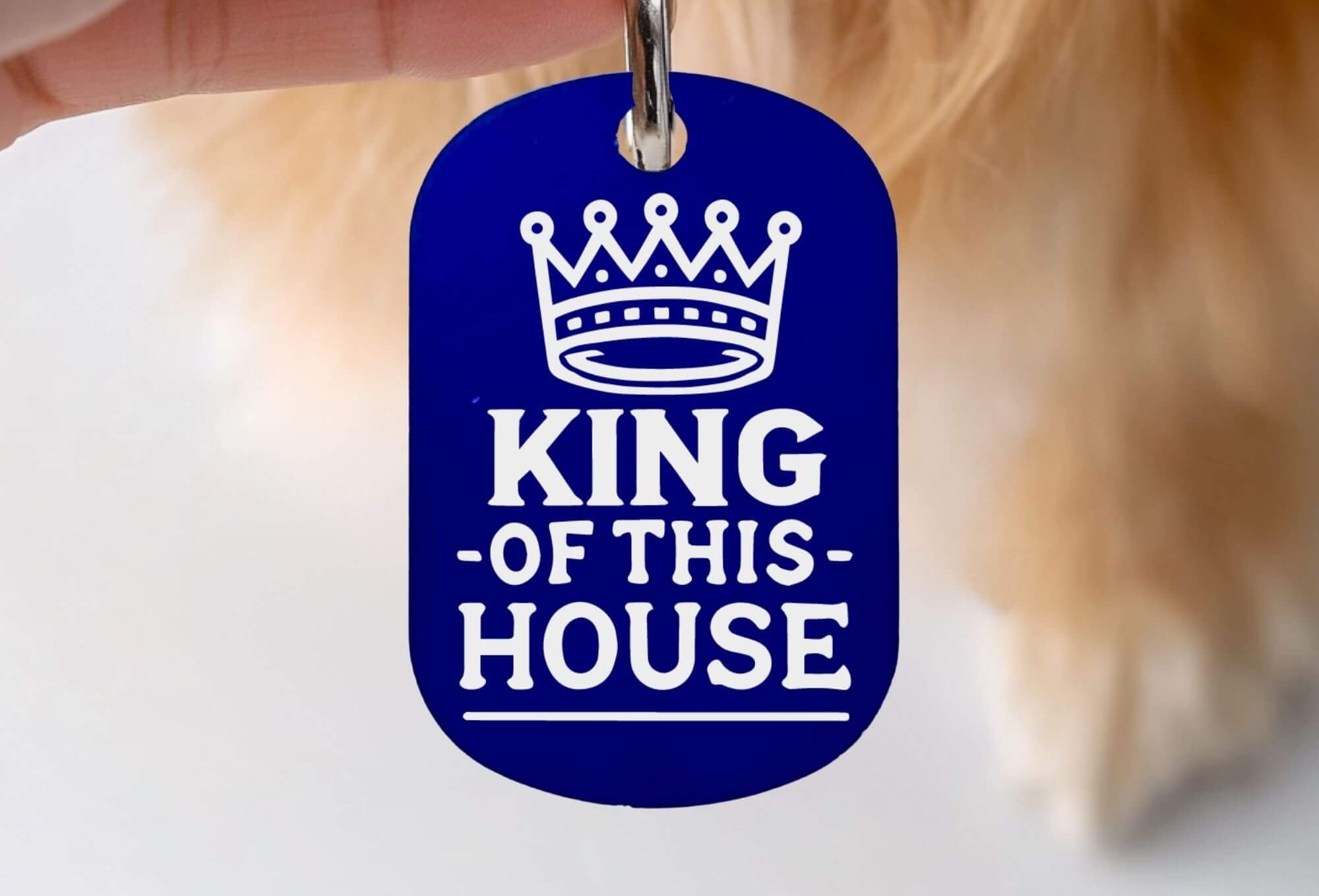 Custom cat collar tags - King of This House personalized engraved cat ID tag in blue