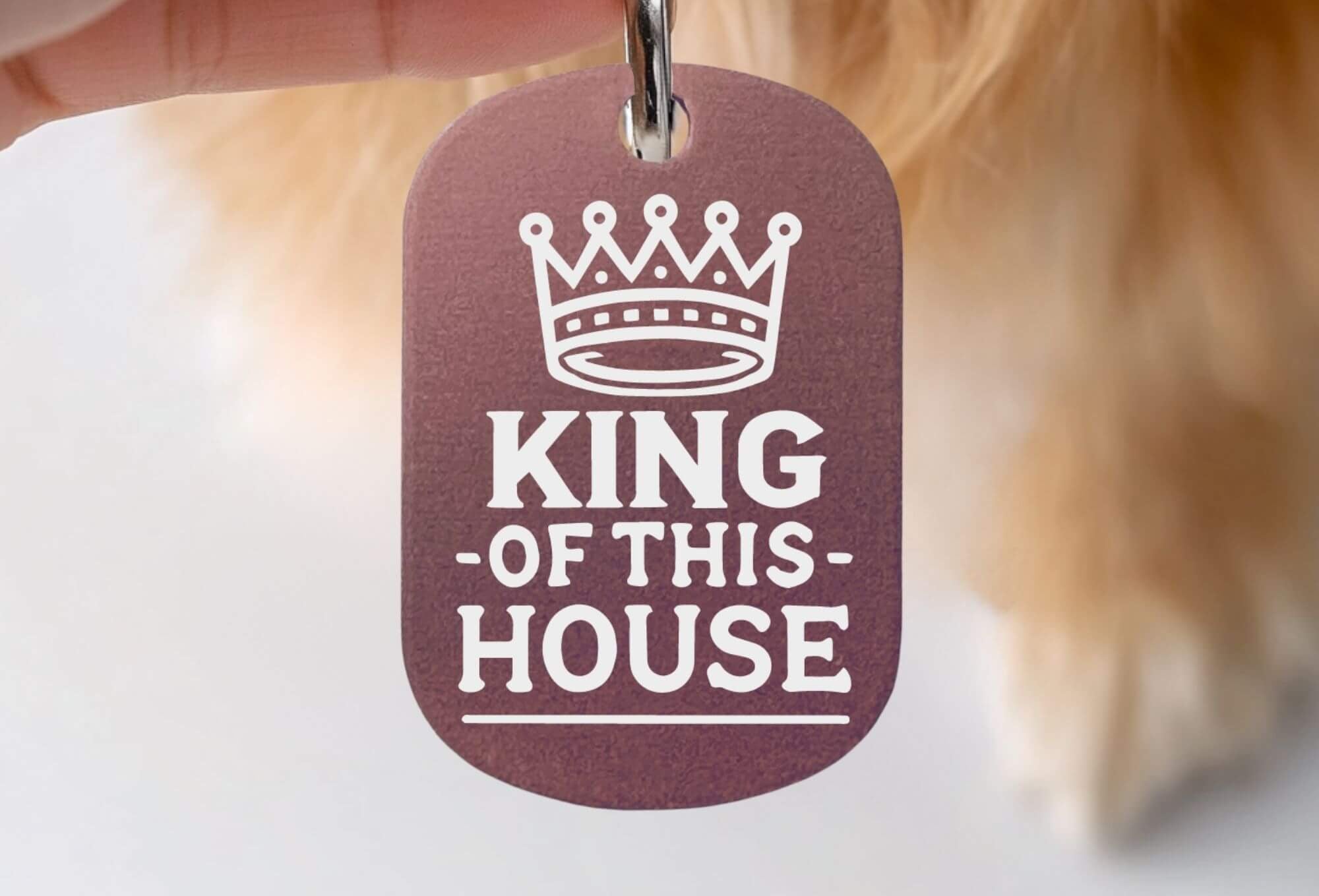 Custom cat collar tags - King of This House custom engraved pet ID tag in pink