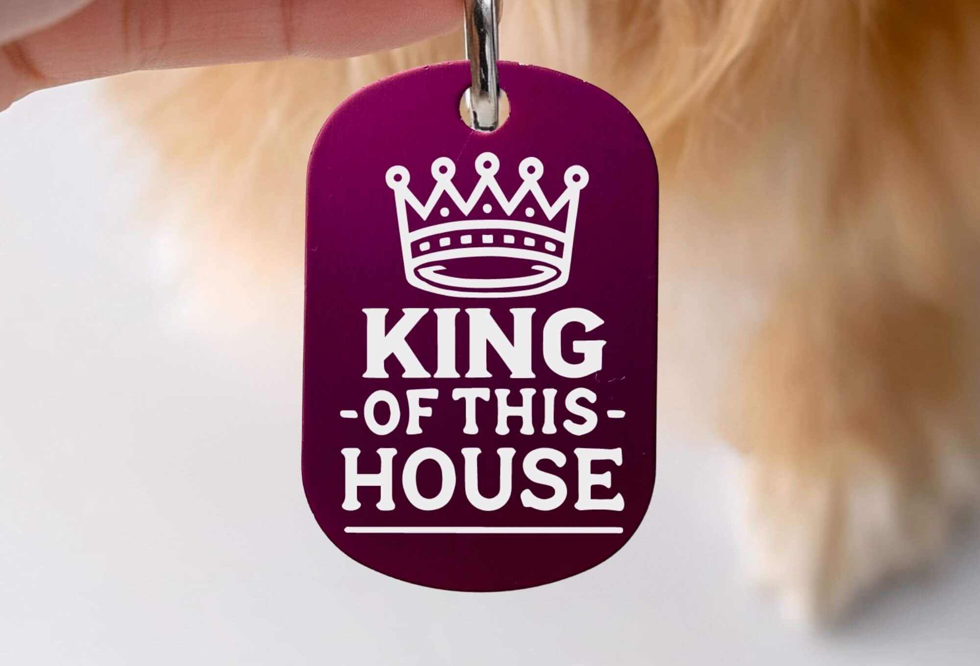 Custom cat collar tags - King of This House funny personalized pet name tag in purple