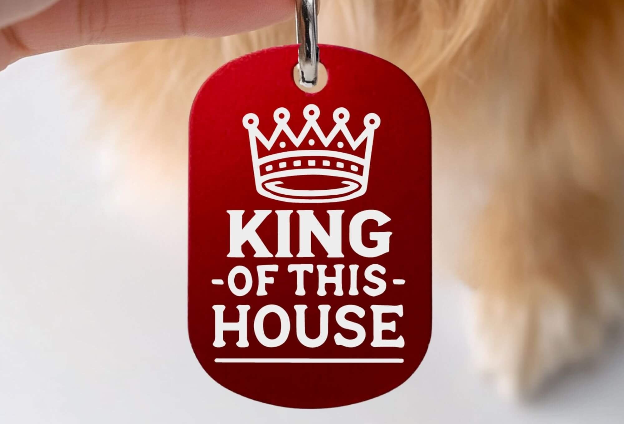 Custom cat collar tags - King of This House durable engraved pet name tag in red