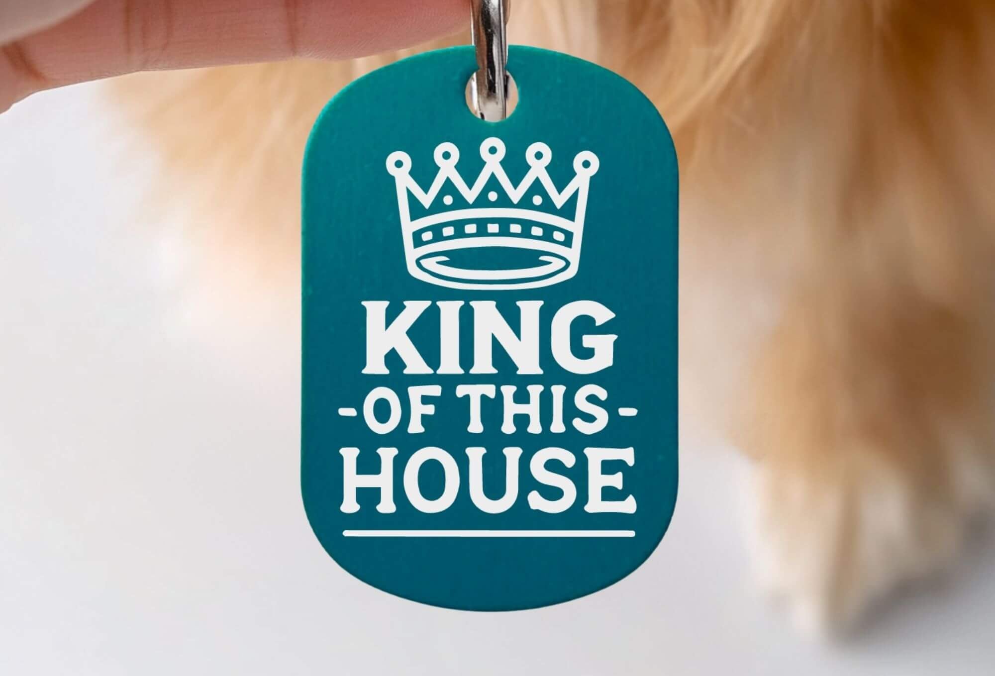 Custom cat collar tags - King of This House engraved personalized cat ID tag in teal