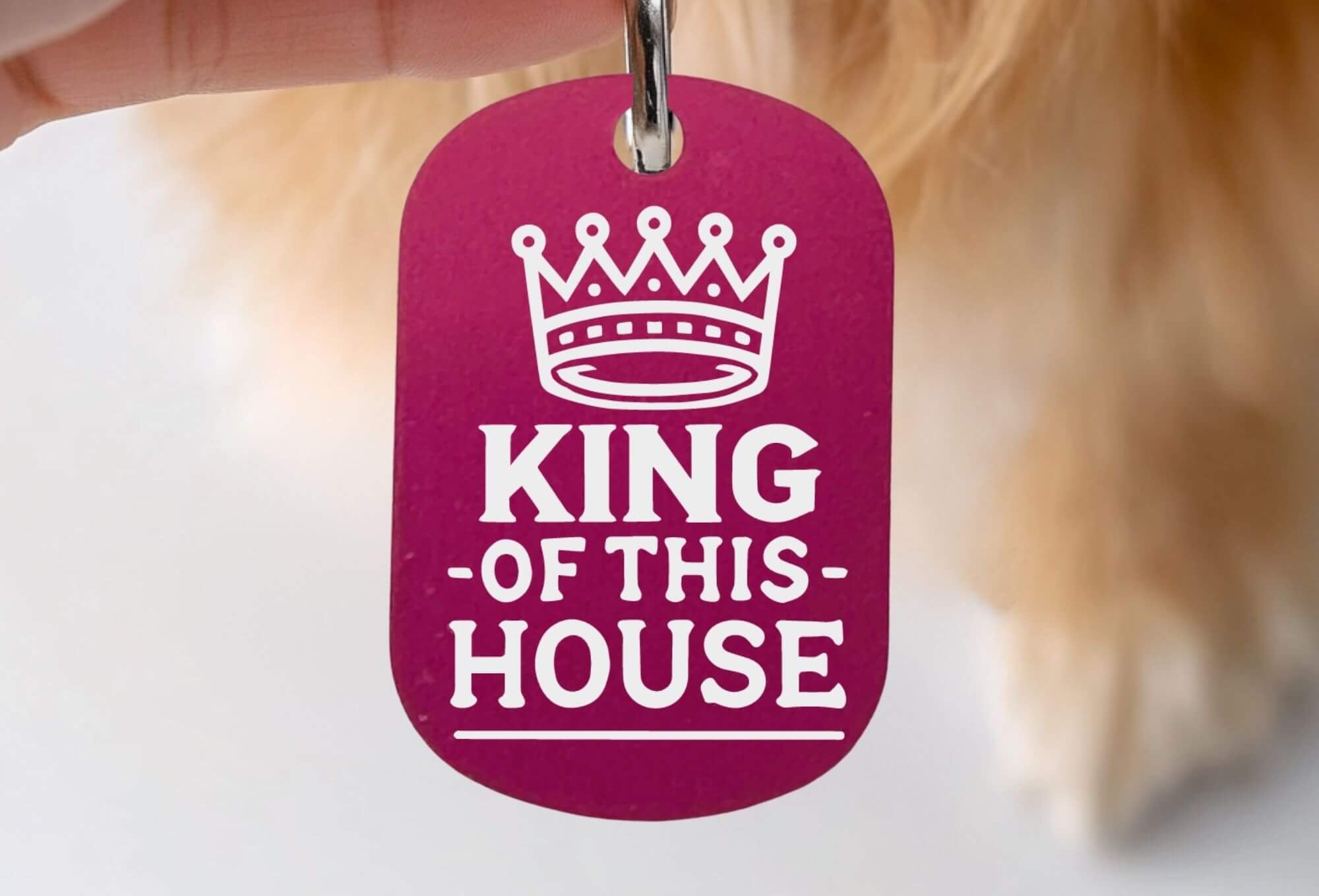 Custom cat collar tags - King of This House funny engraved pet ID tag in hot pink