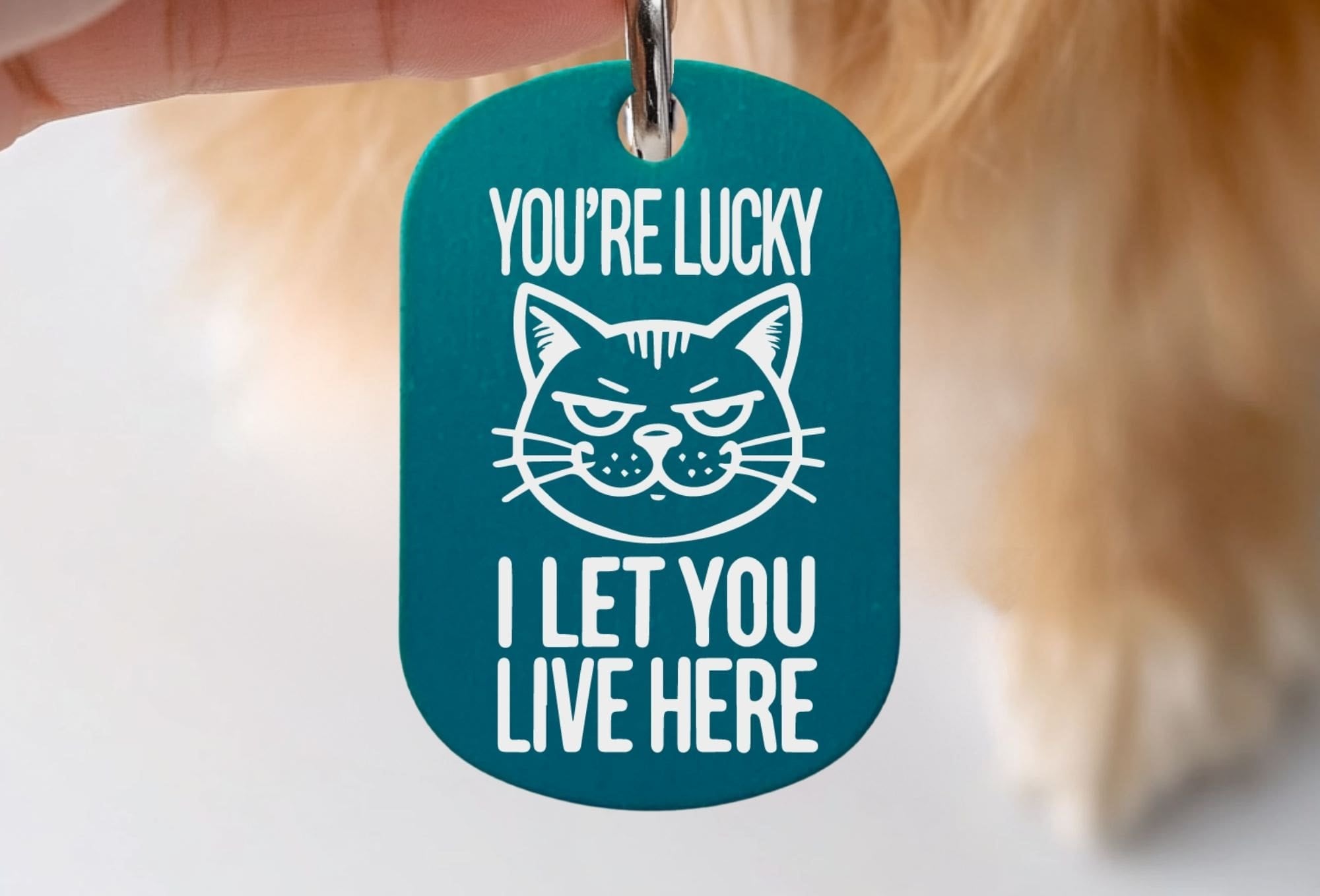 Custom cat ID tag - You're Lucky I Let You Live Here, engraved cat collar tag in teal