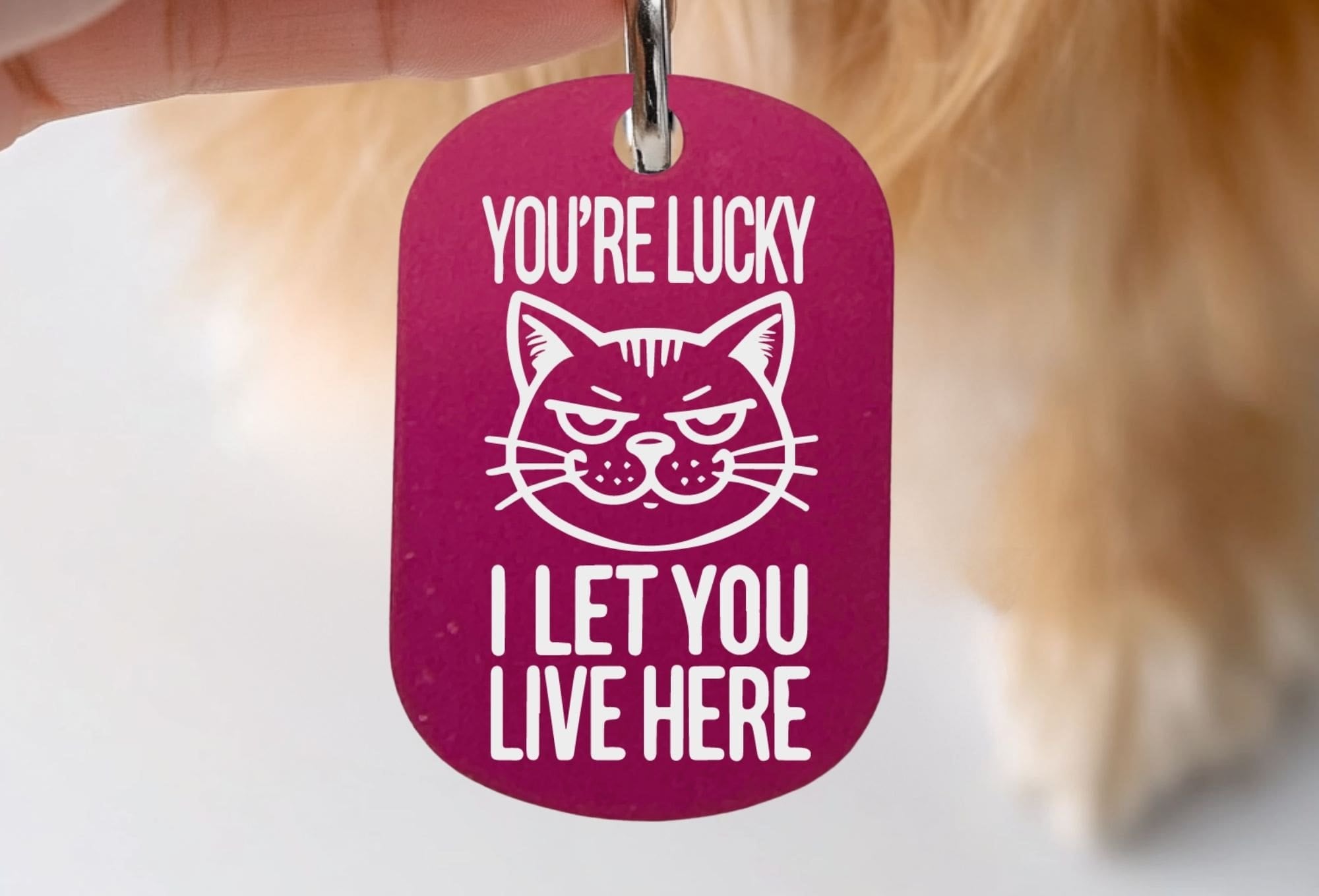 Personalized cat tag - You're Lucky I Let You Live Here, engraved funny cat collar tag in hot pink