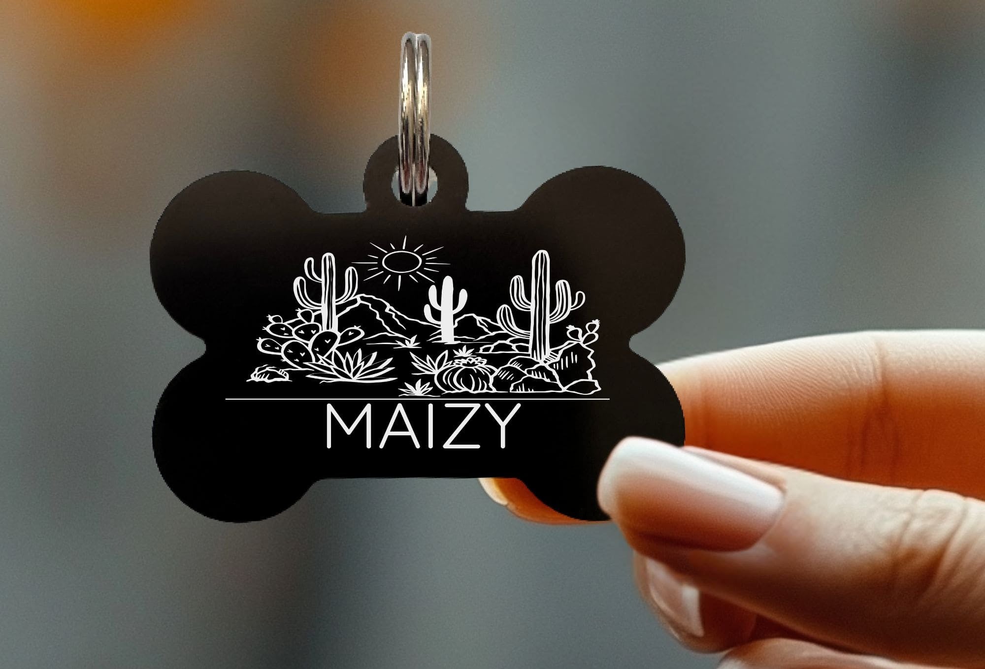 Funny engraved collar tags for pets by Eastcoast Engraving