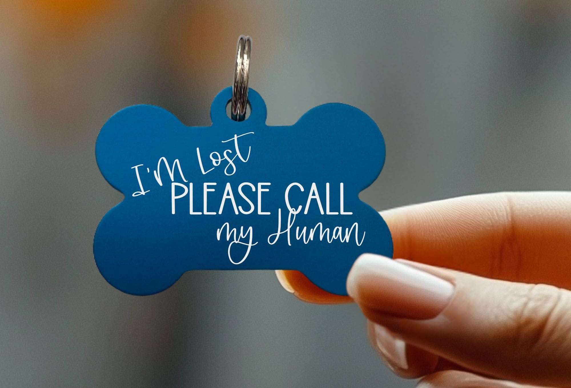 Funny dog name tag – best custom pet collar tags