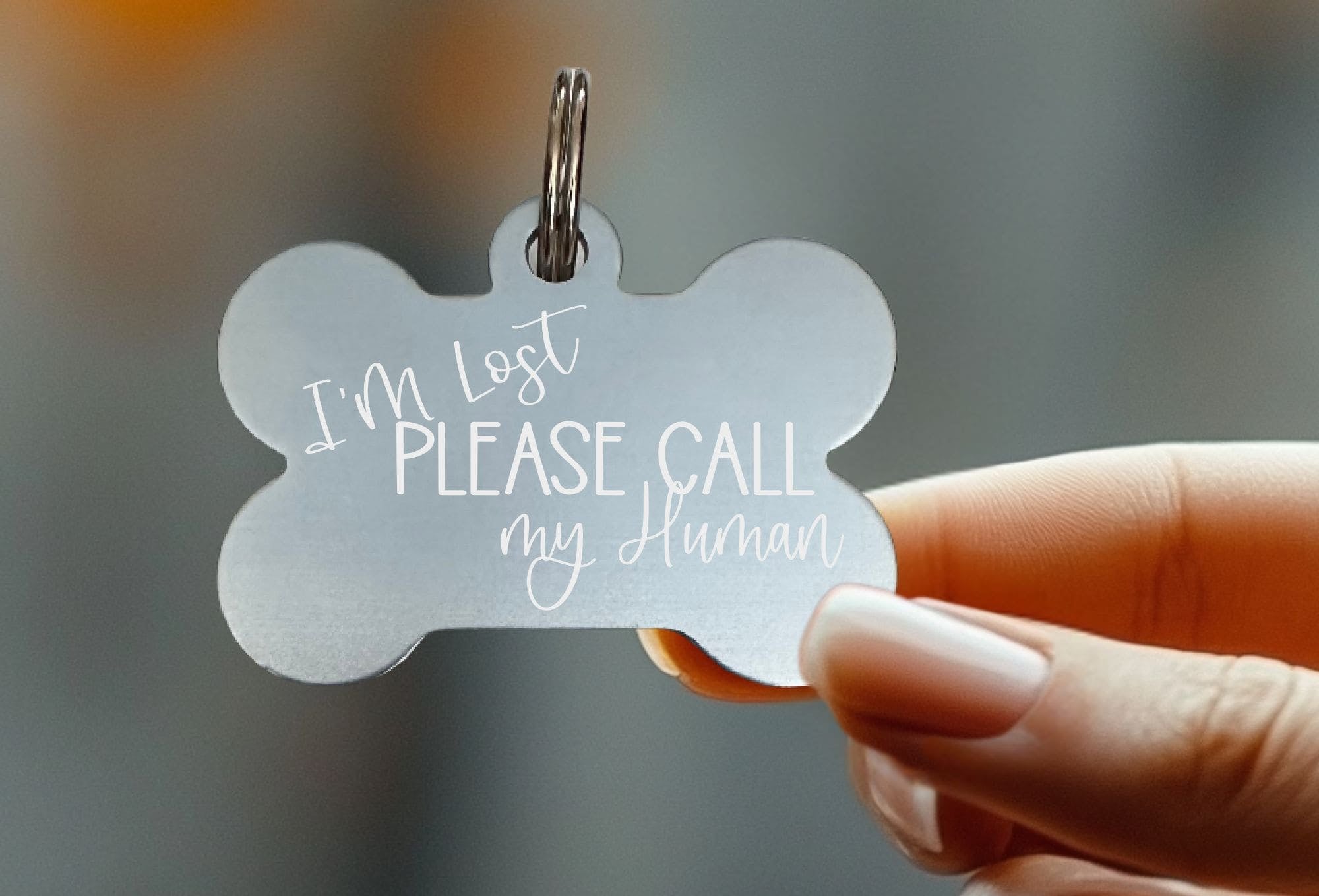 Engraved dog ID tag with humorous design – Eastcoast Engraving