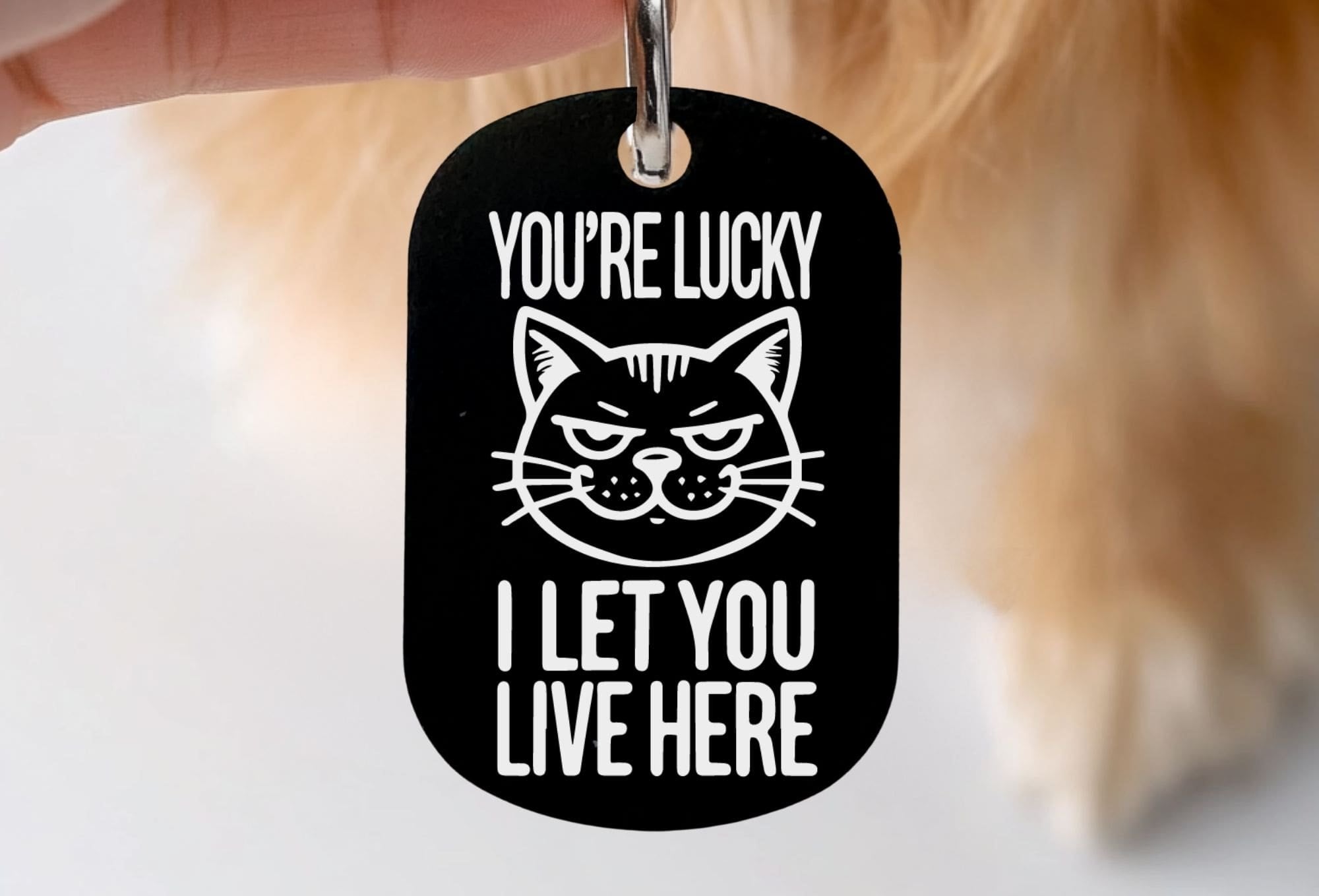 Engraved cat ID tag - You're Lucky I Let You Live Here, durable custom cat collar tag in black