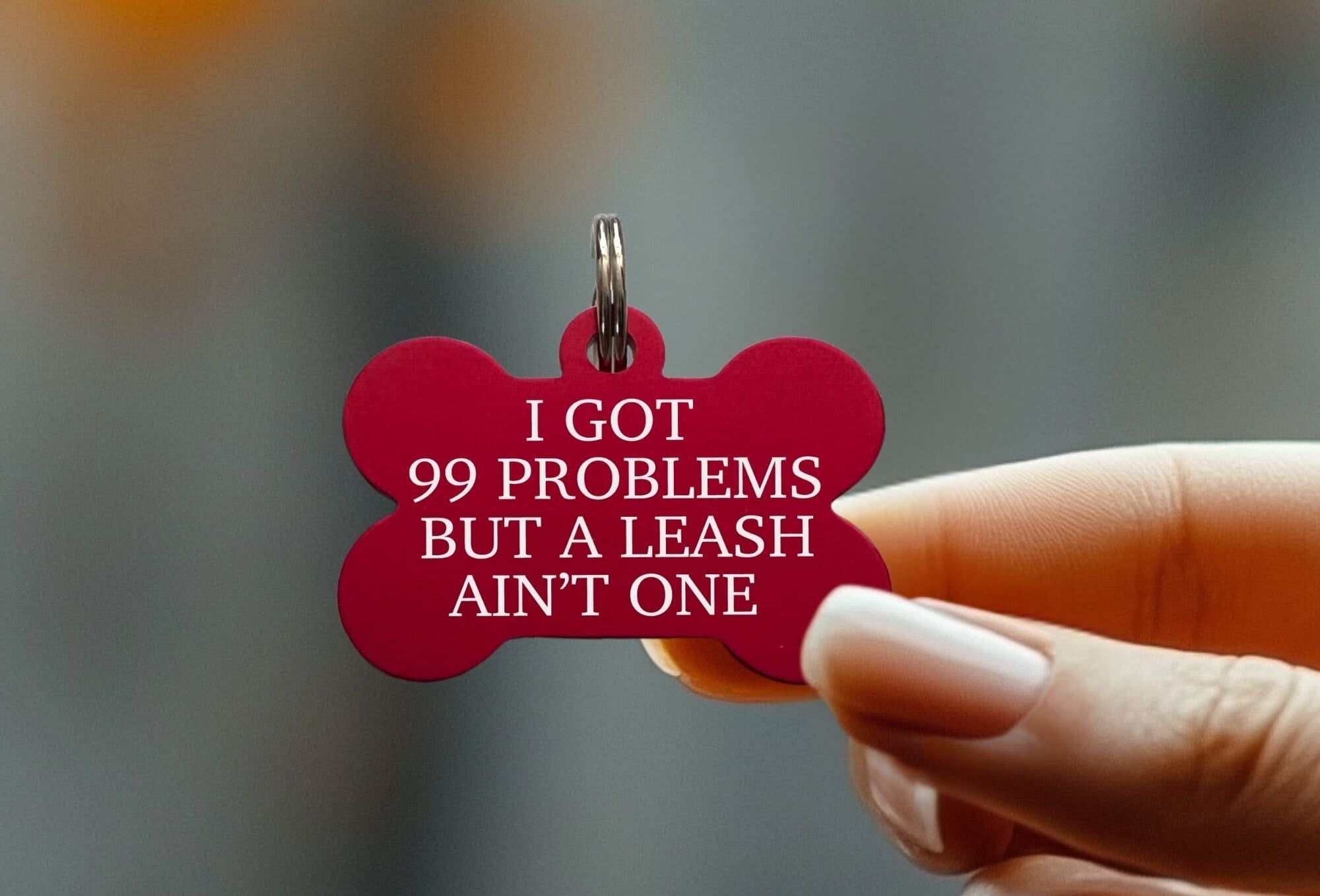 Funny dog tag - "99 Problems But a Leash Ain’t One"