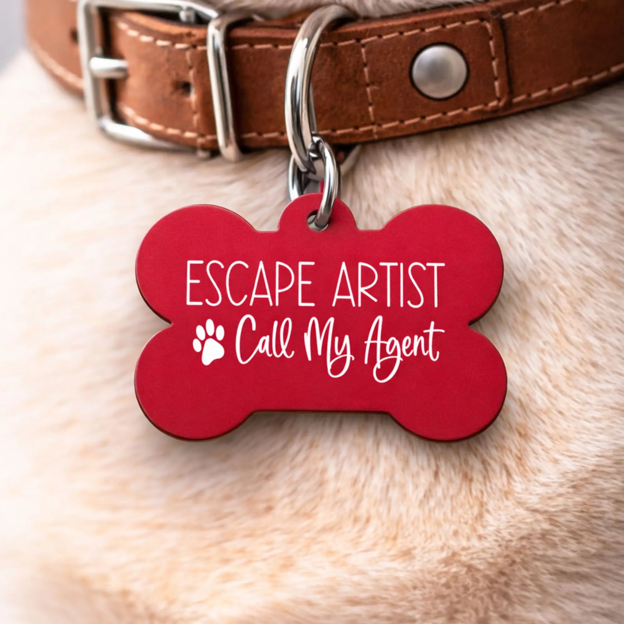 Funny dog ID tag reading “Escape Artist Call My Agent” on a dog collar