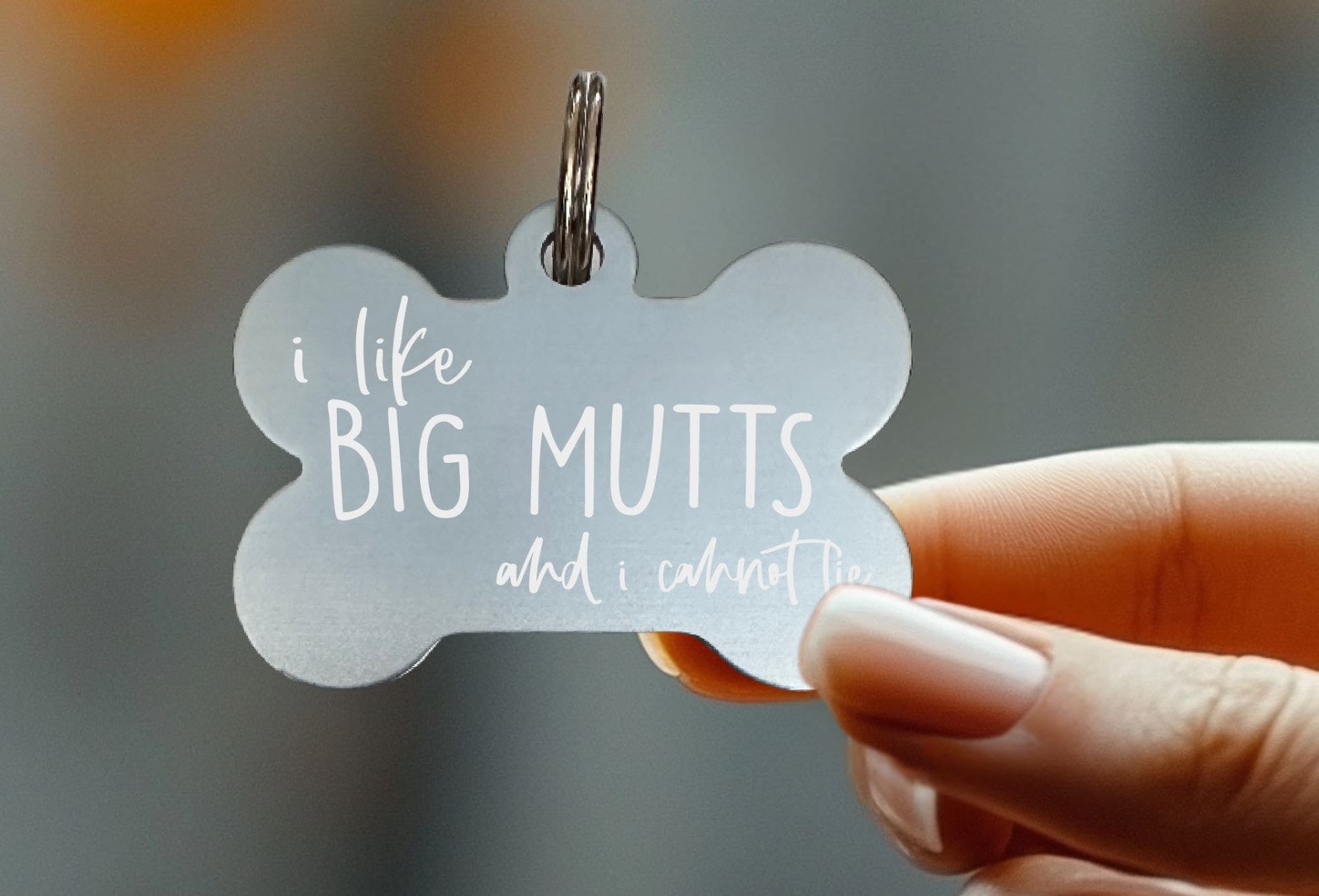 funny-pet-id-tags-eastcoast-engraving