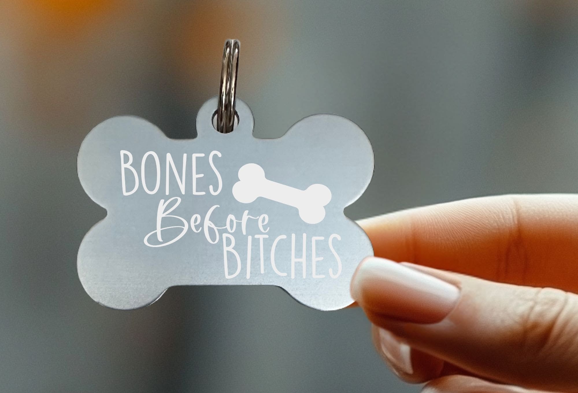 Stylish engraved dog name tags with funny sayings