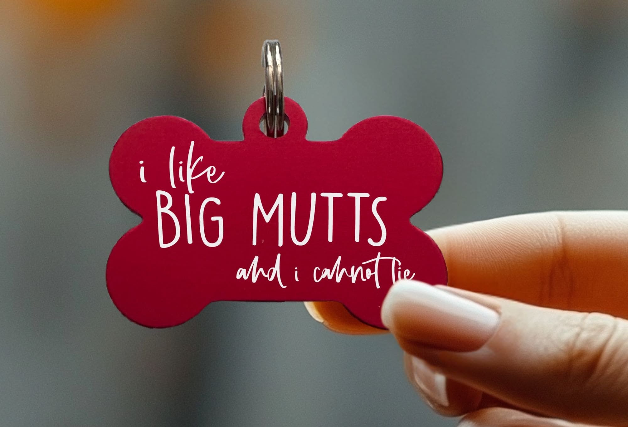 personalized-dog-collar-tags