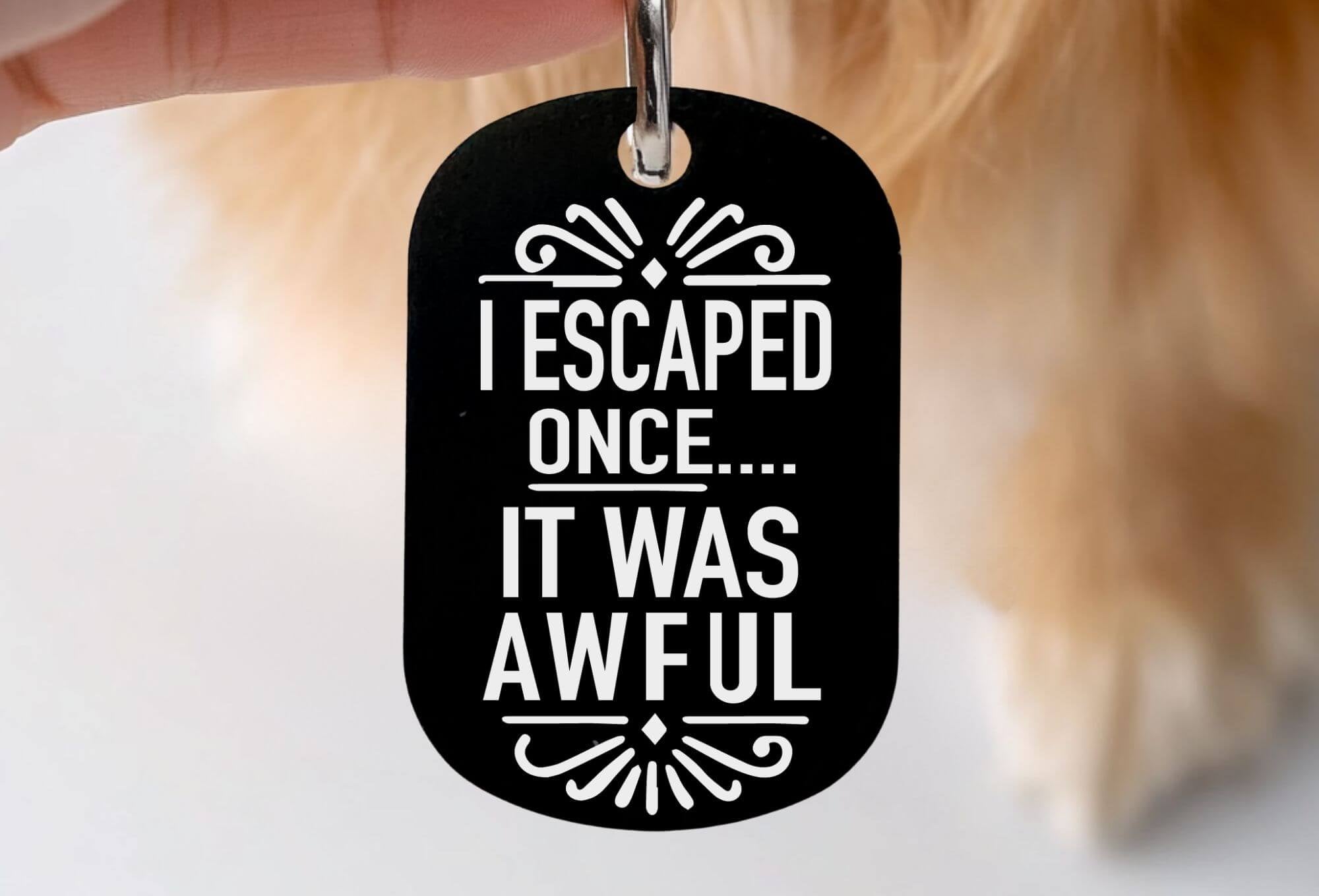 Funny personalized cat collar tags engraved pet ID black