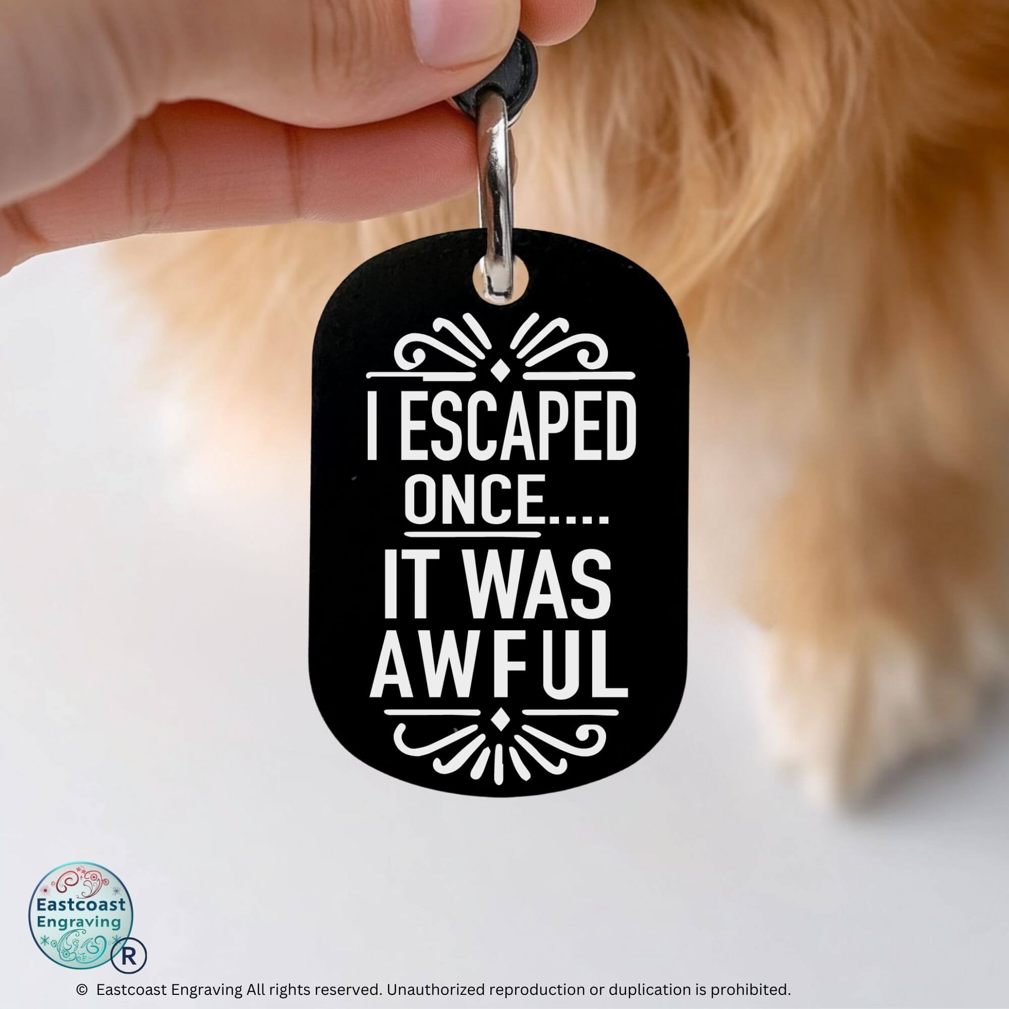 Funny personalized cat collar tags engraved pet ID black