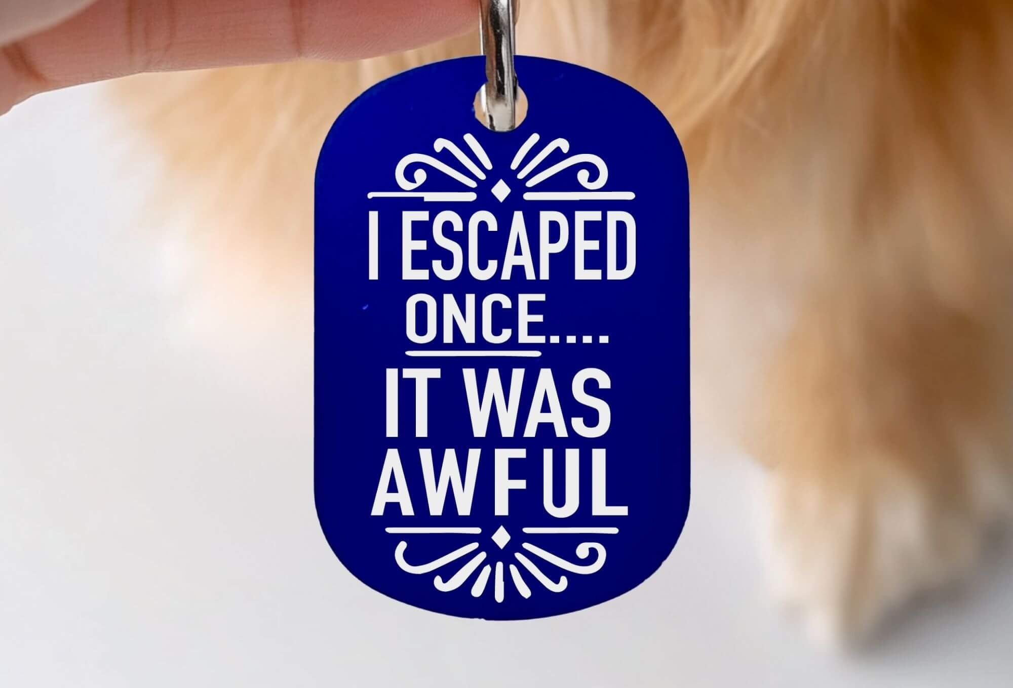 Funny cat ID tags engraved personalized pet tag blue