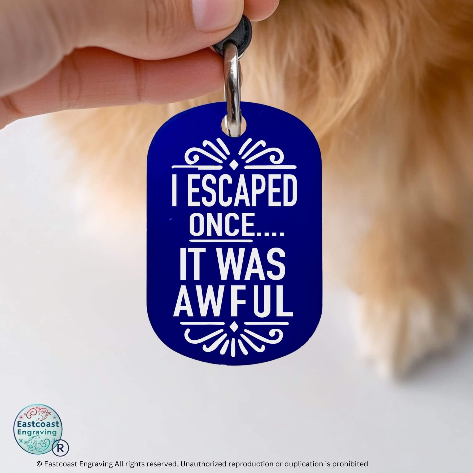 Funny cat ID tags engraved personalized pet tag blue