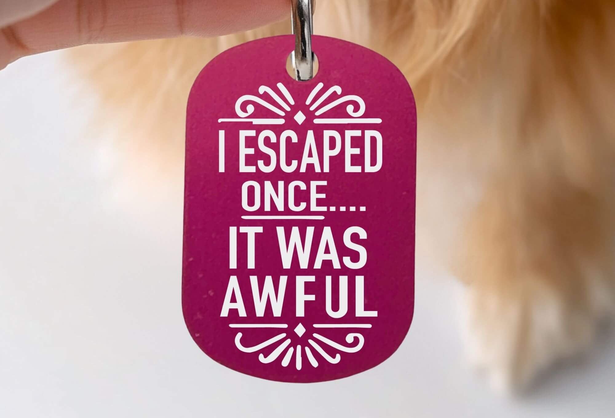 Engraved cat ID tags personalized funny pet collar tag hot pink