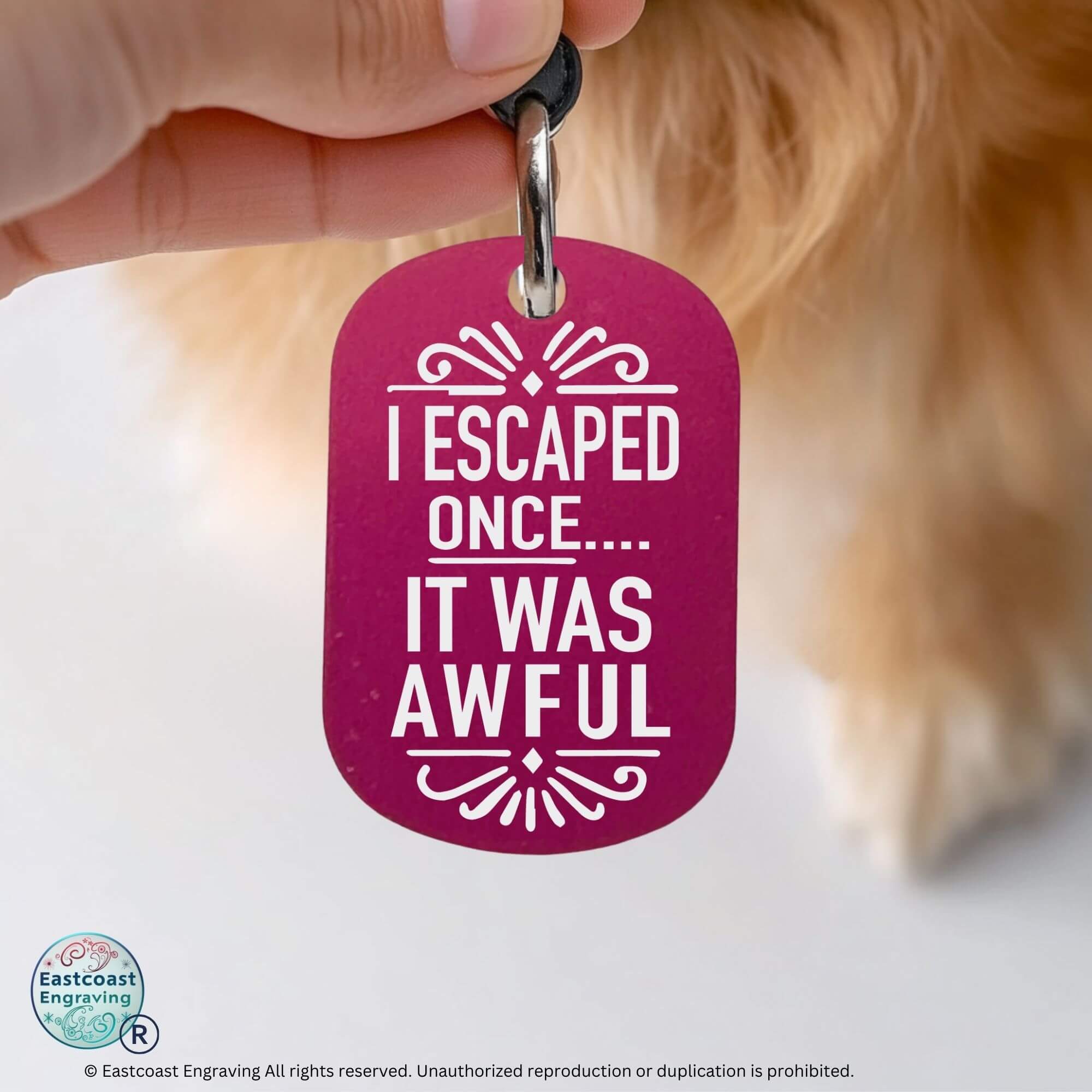 Engraved cat ID tags personalized funny pet collar tag hot pink